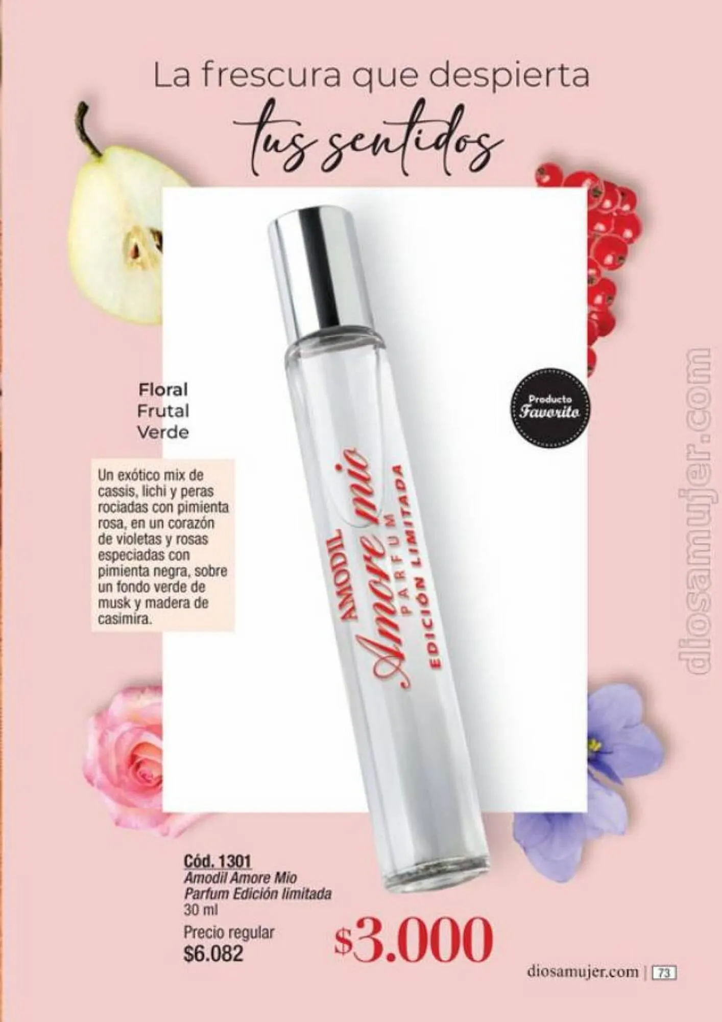 Ofertas de Catálogo Amodil 6 de septiembre al 10 de octubre 2023 - Página 73 del catálogo