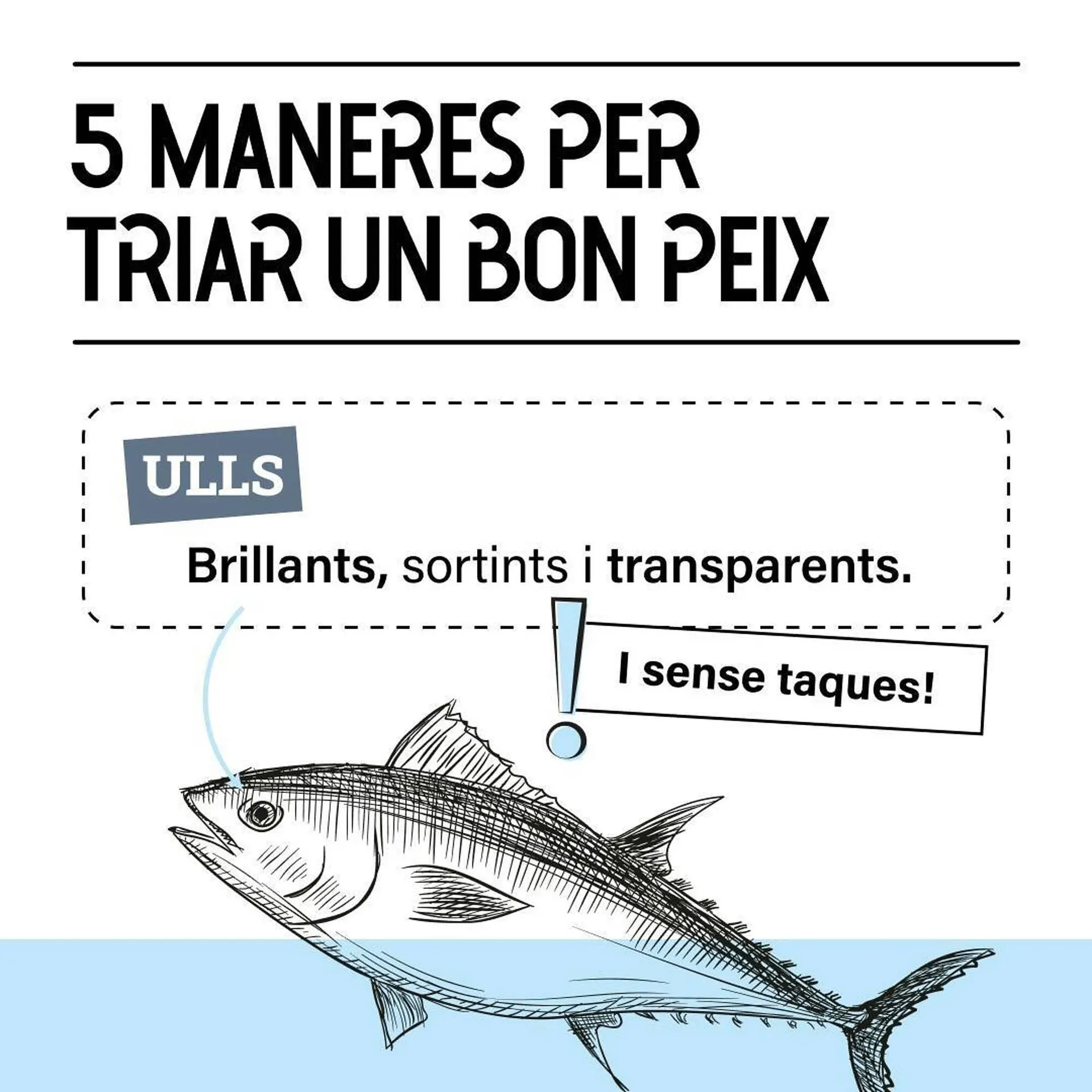 Ofertas de Catálogo Bonpreu 24 de octubre al 31 de octubre 2024 - Página 4 del catálogo