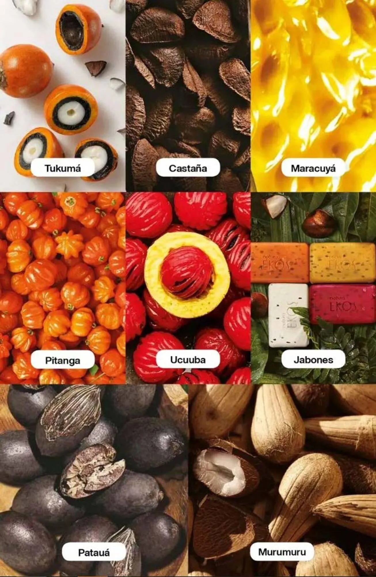 Ofertas de Catálogo Natura 18 de marzo al 31 de marzo 2025 - Página 170 del catálogo