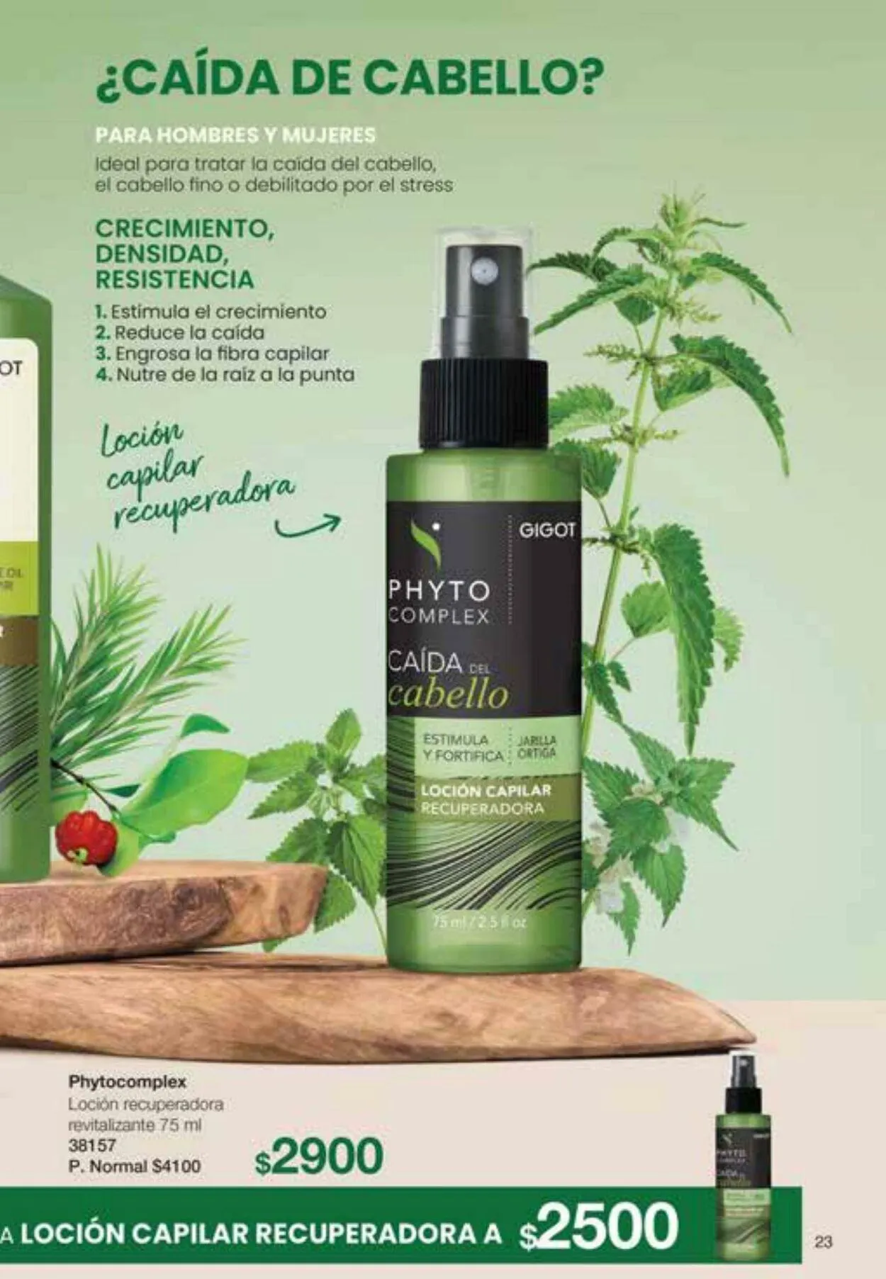 Ofertas de Gigot 6 de octubre al 31 de octubre 2023 - Página 23 del catálogo