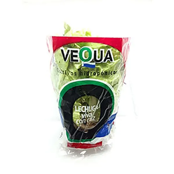 LECHUGA HIDROPONICA X PAQUETE