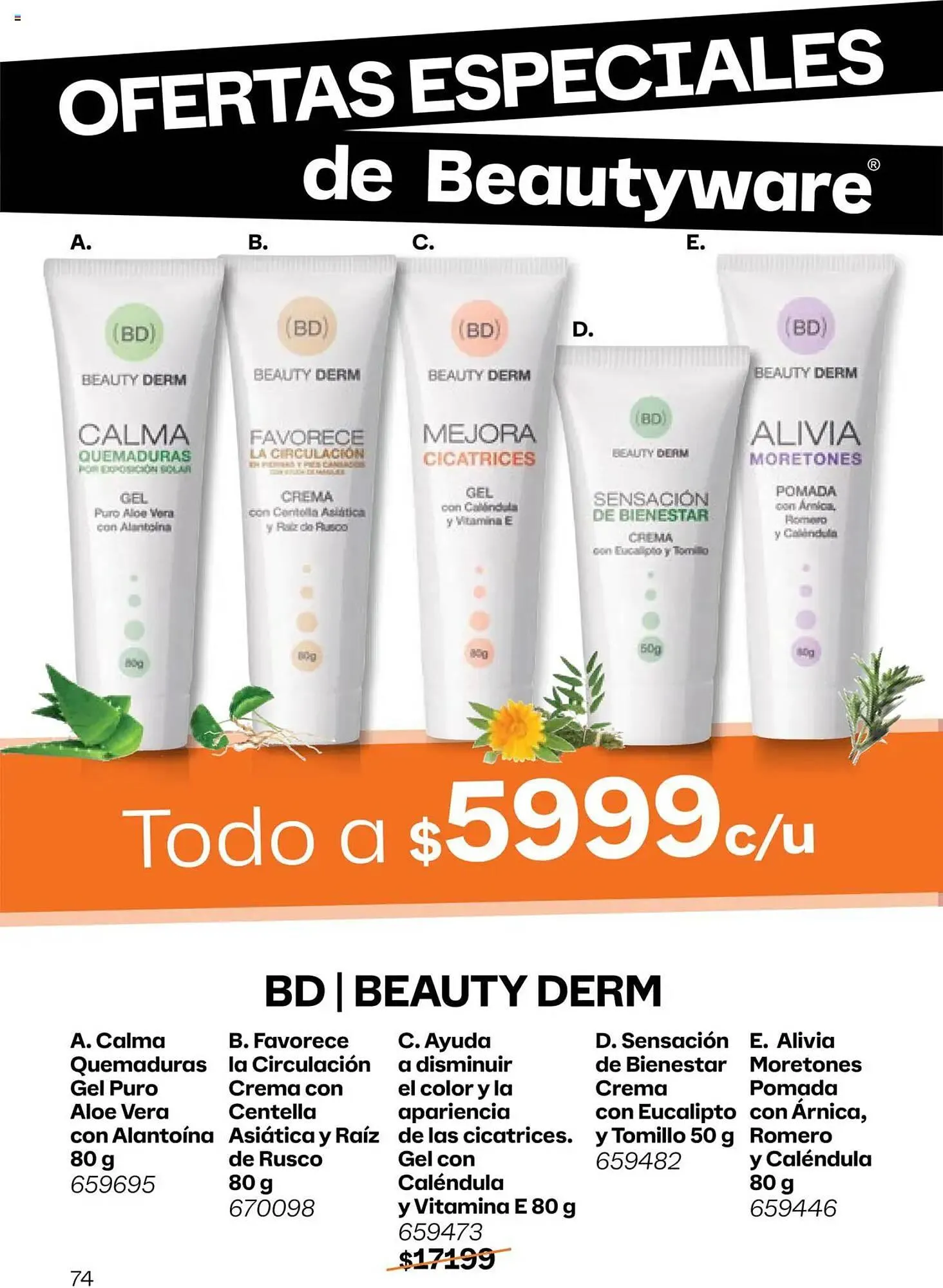 Ofertas de Catálogo Tupperware 9 de abril al 22 de abril 2025 - Página 166 del catálogo