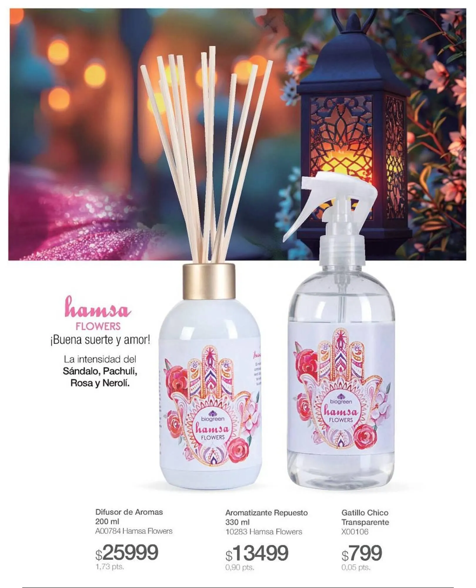 Ofertas de Catálogo Biogreen 28 de julio al 10 de agosto 2025 - Página 9 del catálogo