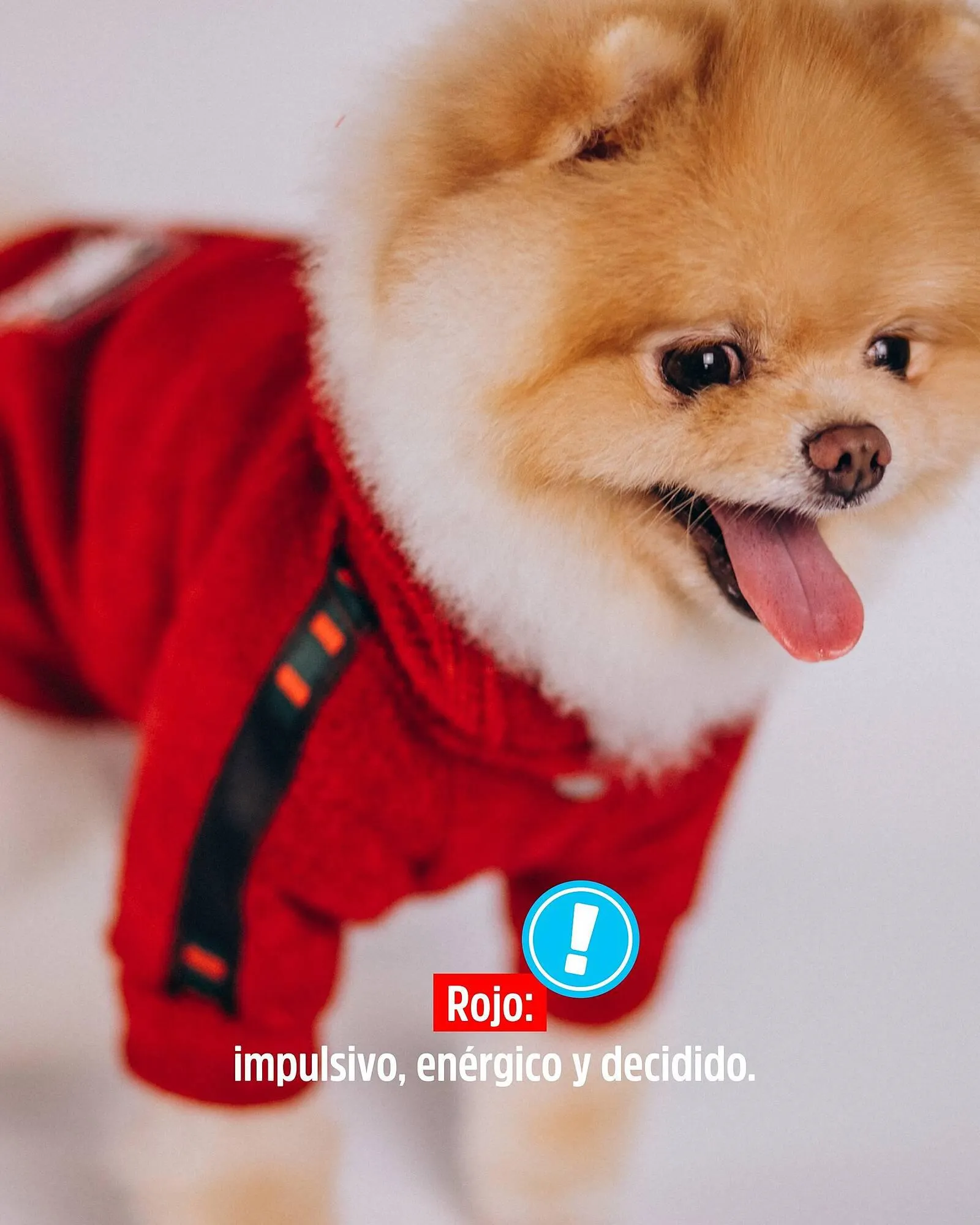 Ofertas de Catálogo Casper Pet Store 3 de abril al 5 de abril 2024 - Página 5 del catálogo