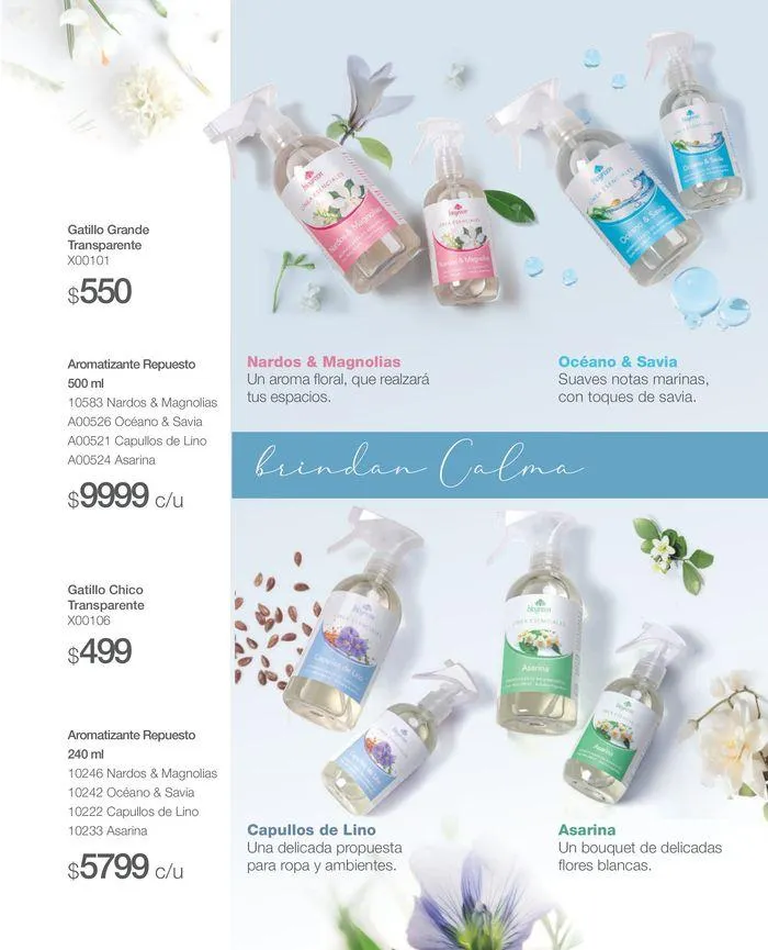 Ofertas de Catálogo Mayo - Junio Biogreen #3 12 de junio al 30 de junio 2024 - Página 17 del catálogo