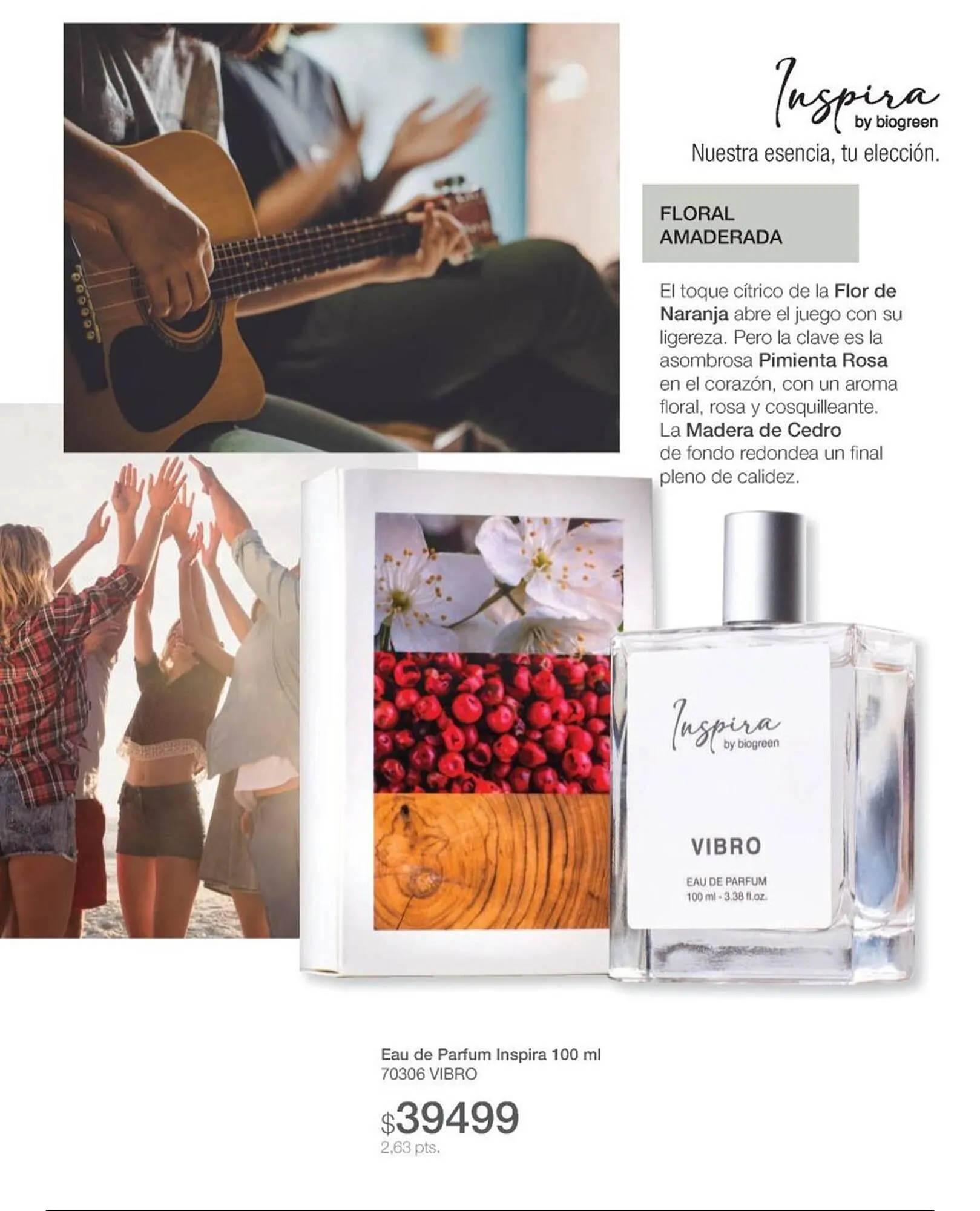 Ofertas de Catálogo Biogreen 28 de julio al 10 de agosto 2025 - Página 67 del catálogo