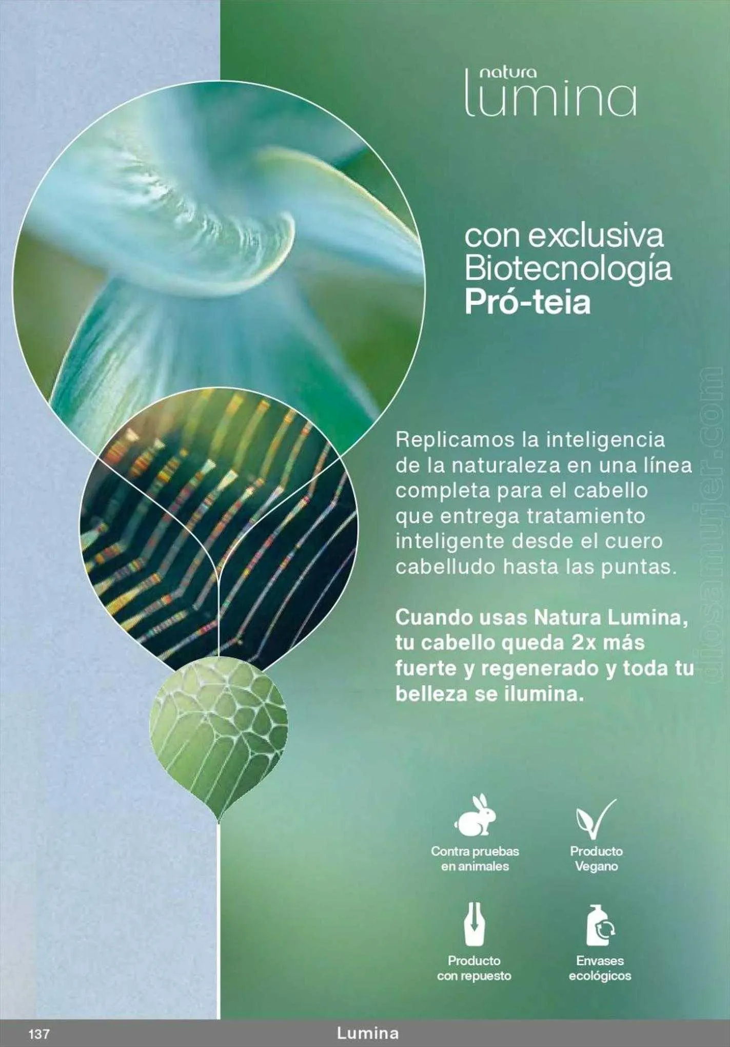 Ofertas de Catálogo Natura 6 de junio al 21 de agosto 2023 - Página 137 del catálogo