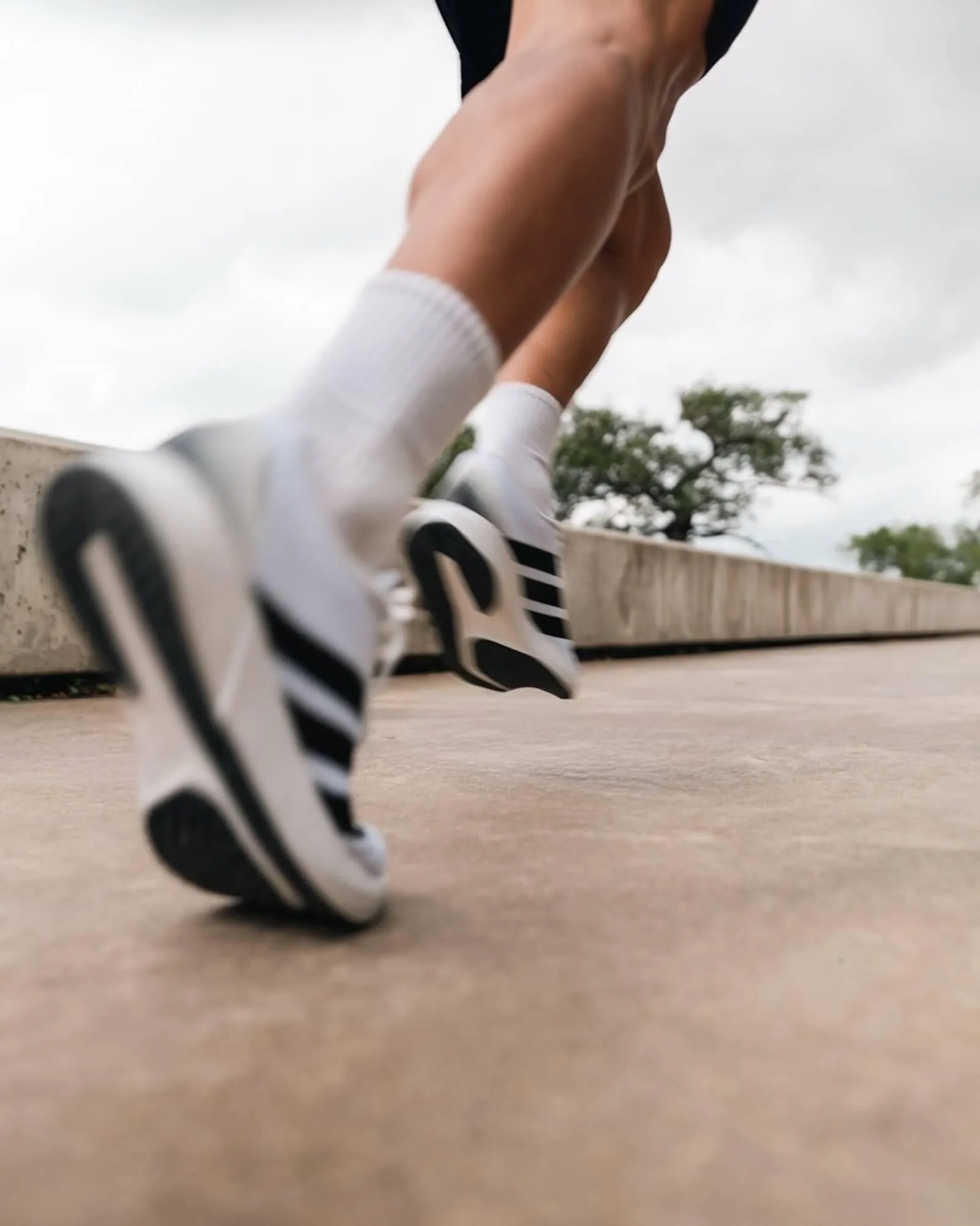 Ofertas de Catálogo Sportline 25 de enero al 1 de febrero 2026 - Página 2 del catálogo