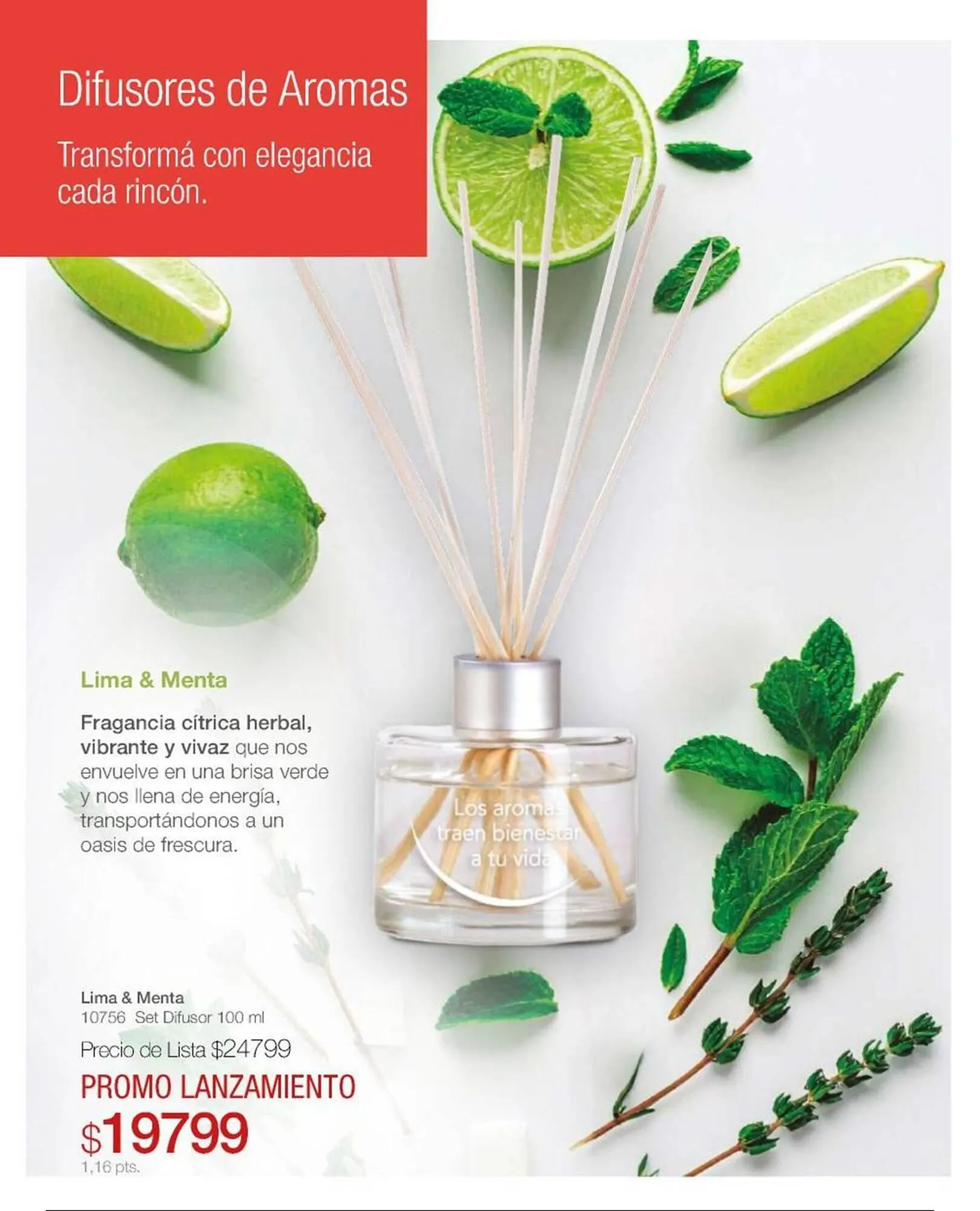 Ofertas de Catálogo Biogreen 30 de enero al 30 de abril 2026 - Página 3 del catálogo