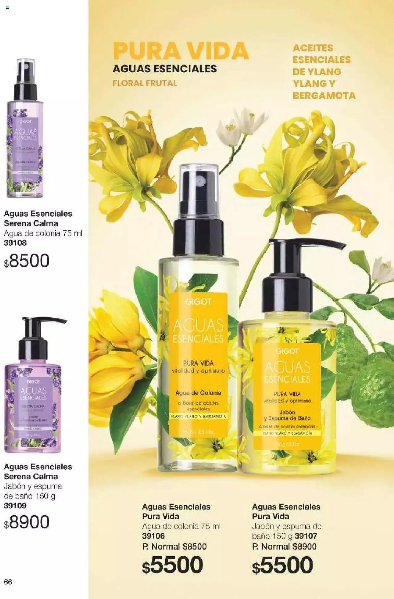 Ofertas de Gigot folleto 6 12 de marzo al 31 de diciembre 2024 - Página 66 del catálogo