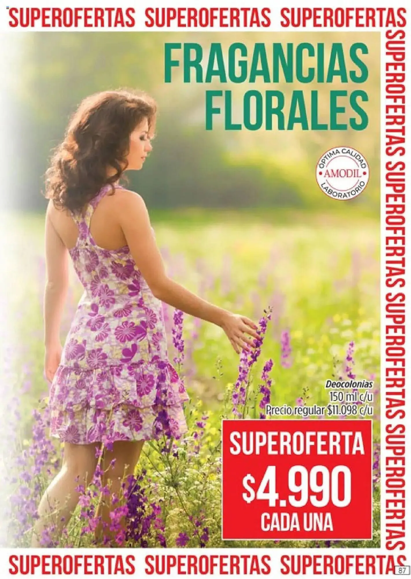 Ofertas de Catálogo Amodil 1 de octubre al 1 de noviembre 2025 - Página 87 del catálogo