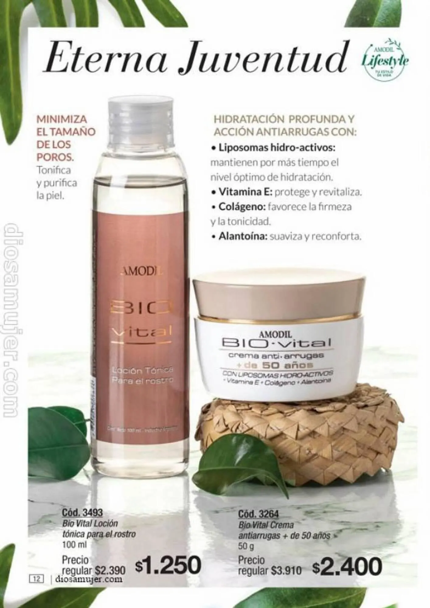 Ofertas de Catálogo Amodil 6 de septiembre al 10 de octubre 2023 - Página 12 del catálogo
