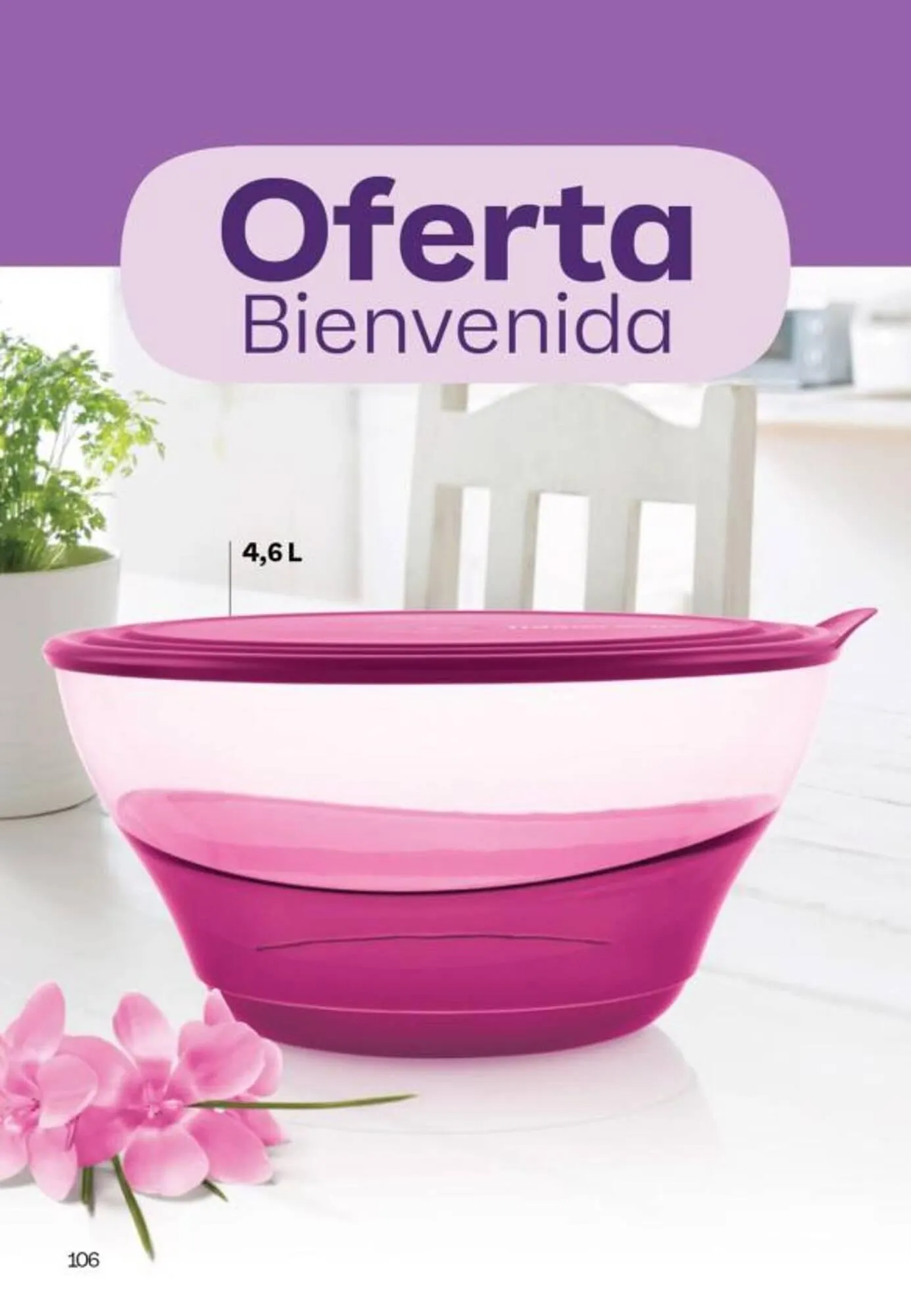 Ofertas de Catálogo Tupperware 10 de mayo al 31 de mayo 2025 - Página 107 del catálogo