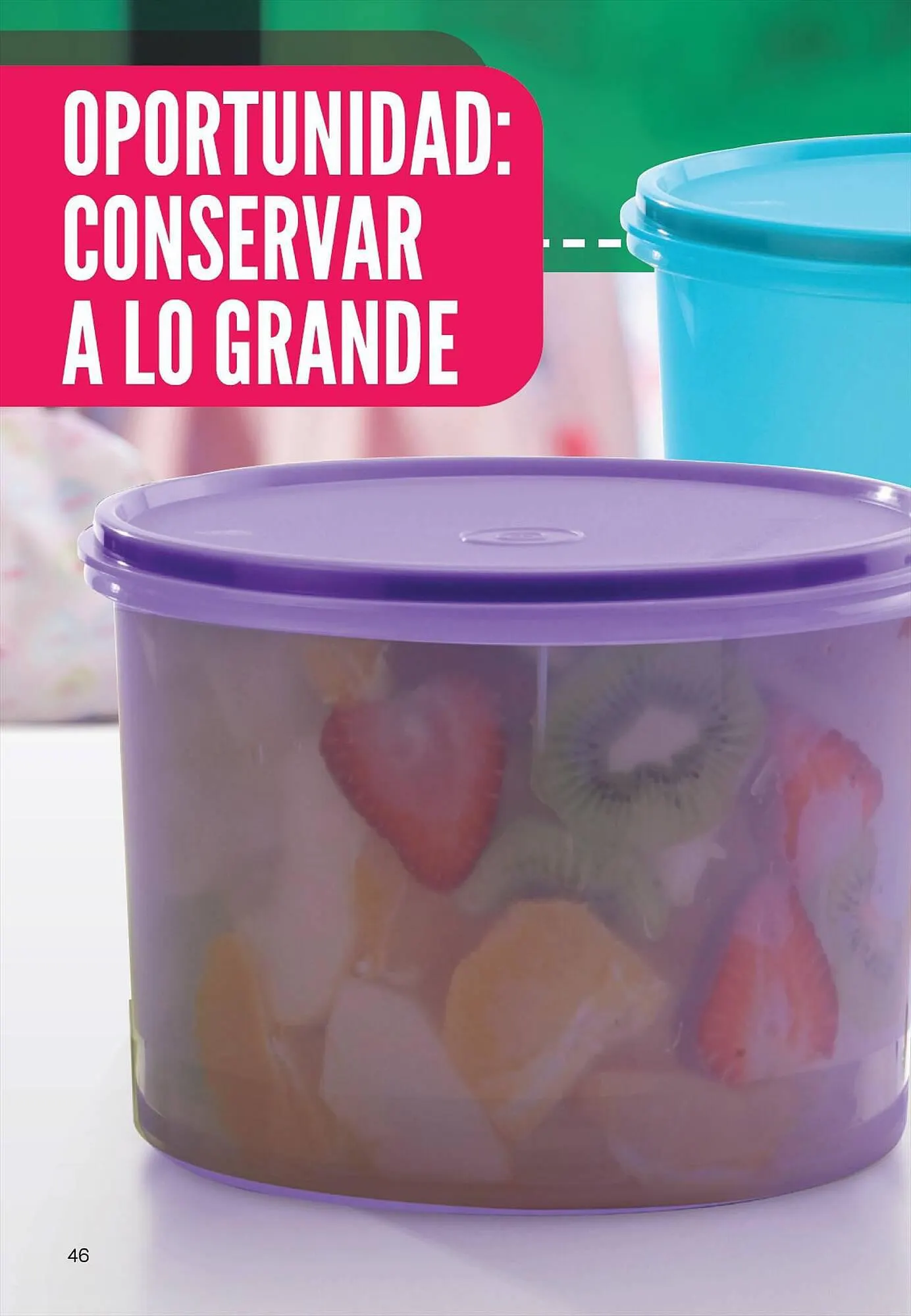 Ofertas de Catálogo Tupperware 25 de septiembre al 31 de octubre 2023 - Página 47 del catálogo