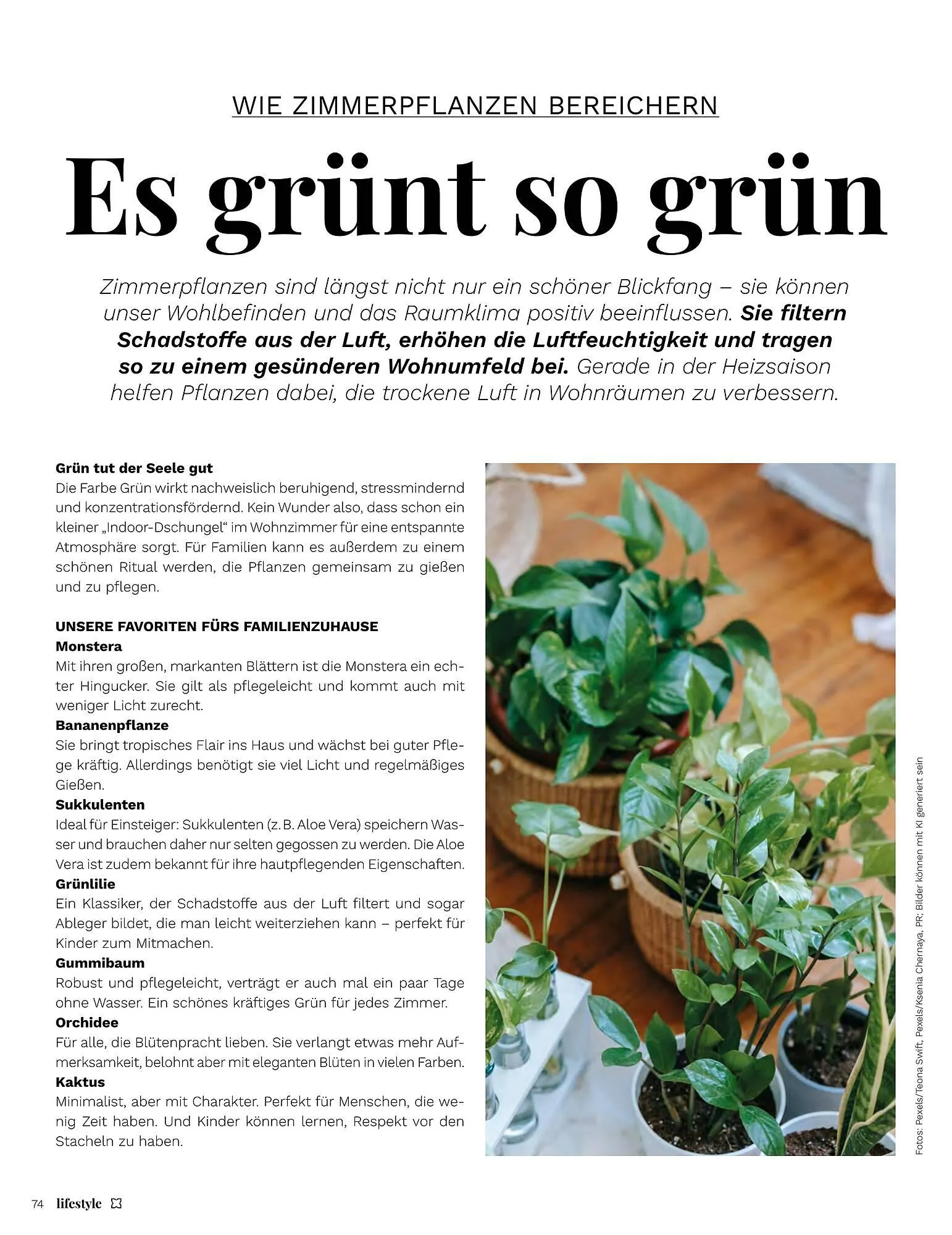 Müller Flugblatt von 1. Jänner bis 28. Februar 2026 - Flugblätt seite  74