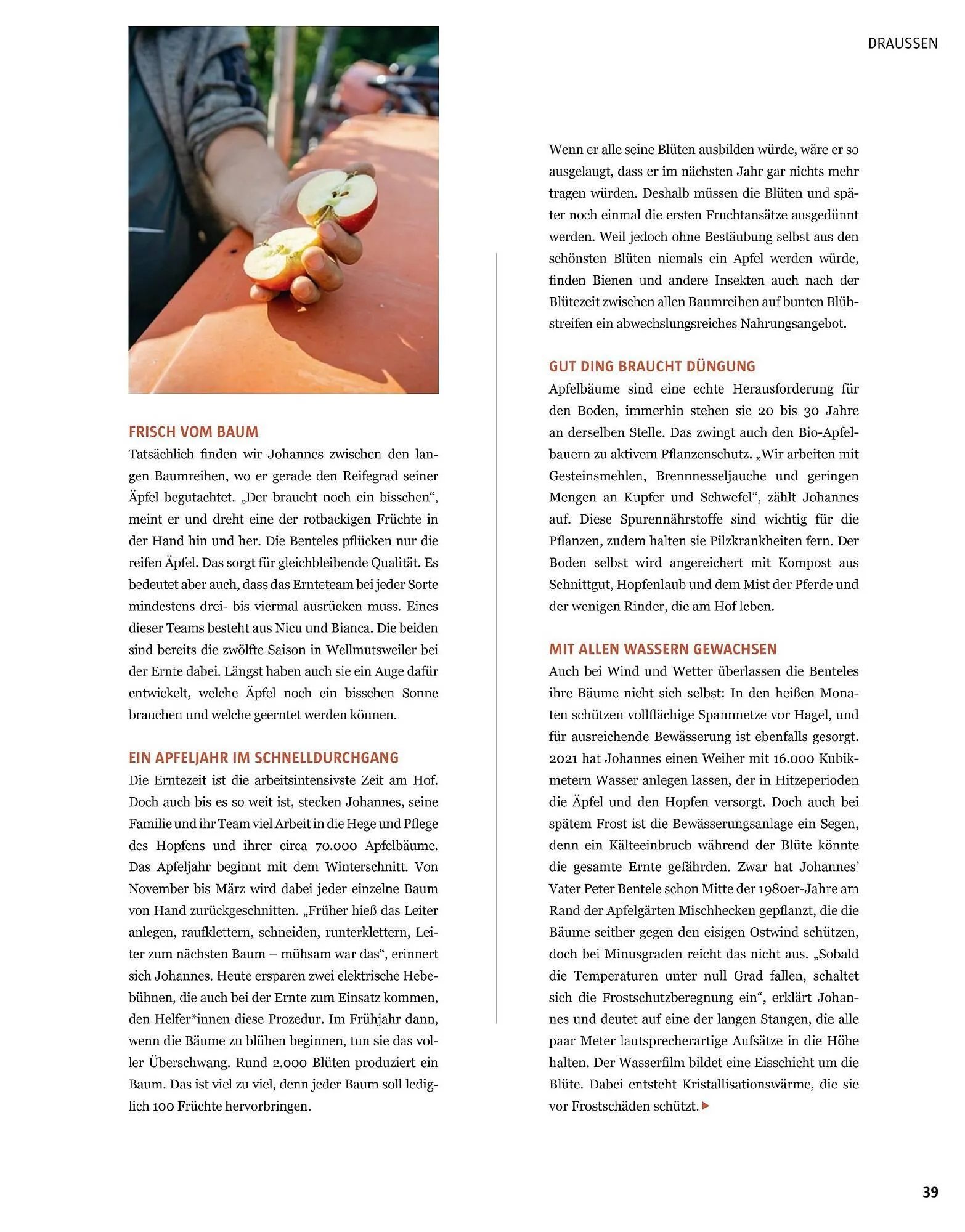 Sutterlüty Flugblatt von 17. November bis 29. Jänner 2026 - Flugblätt seite  104