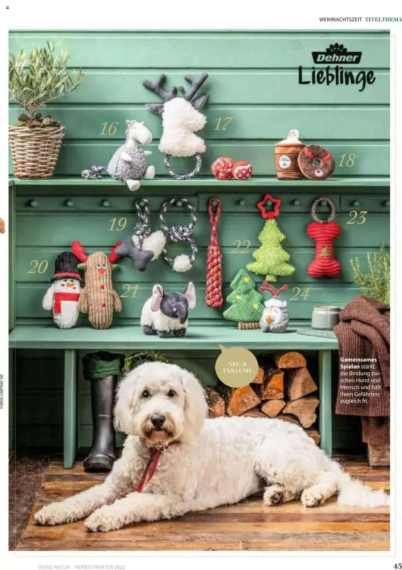 Dehner Flugblatt von 10. Oktober bis 31. Dezember 2023 - Flugblätt seite  45