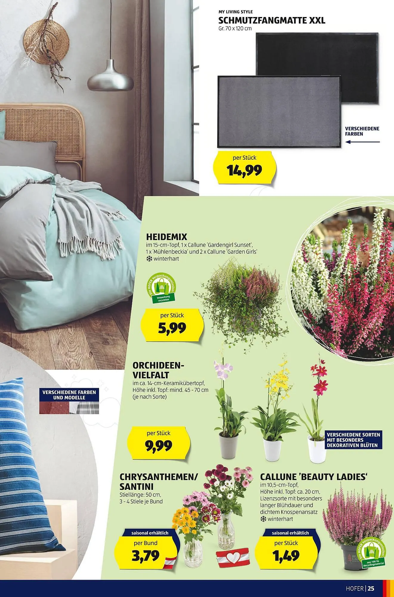 Hofer Flugblatt von 29. September bis 5. Oktober 2023 - Flugblätt seite  27