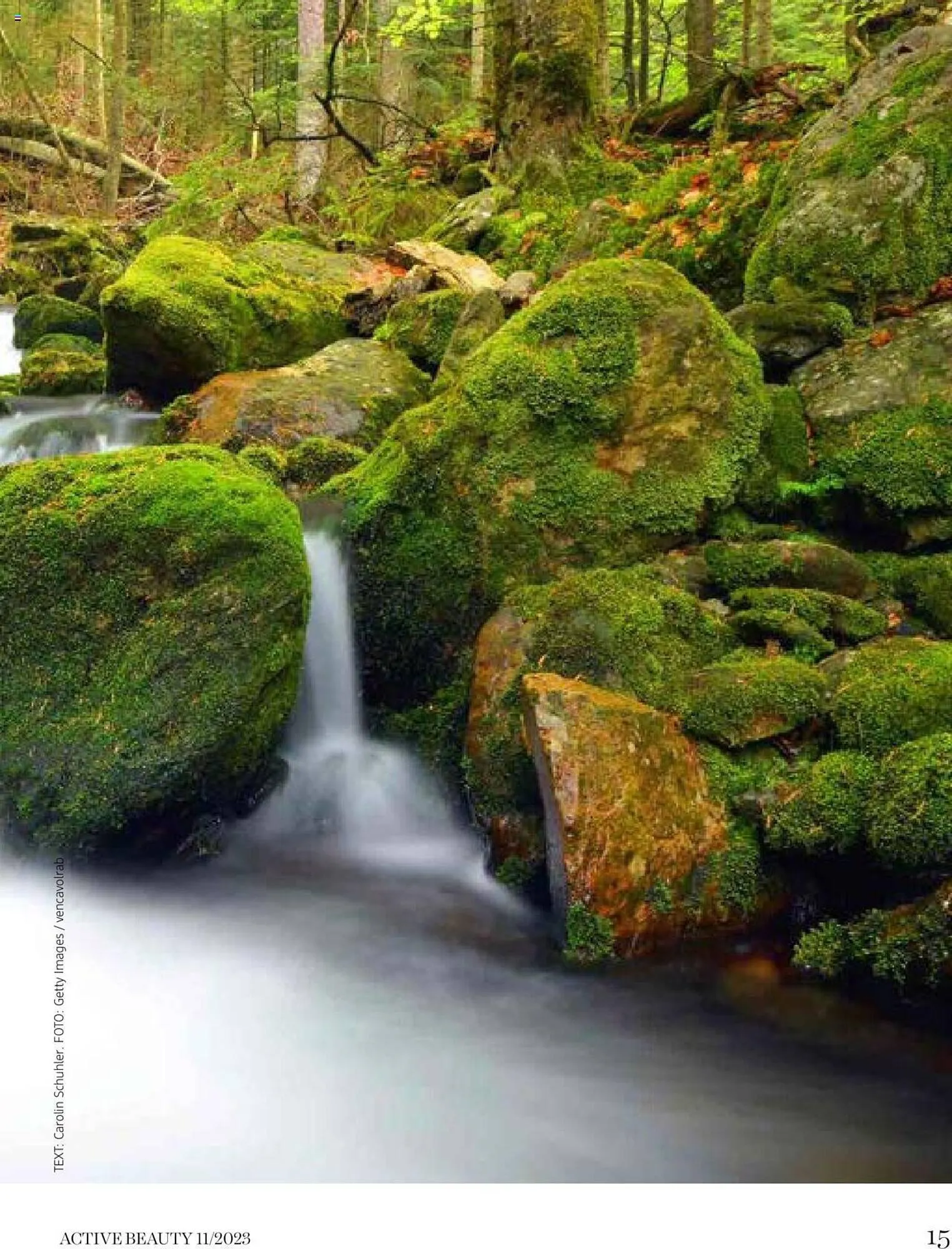 dm Flugblatt von 1. November bis 1. Dezember 2023 - Flugblätt seite 15