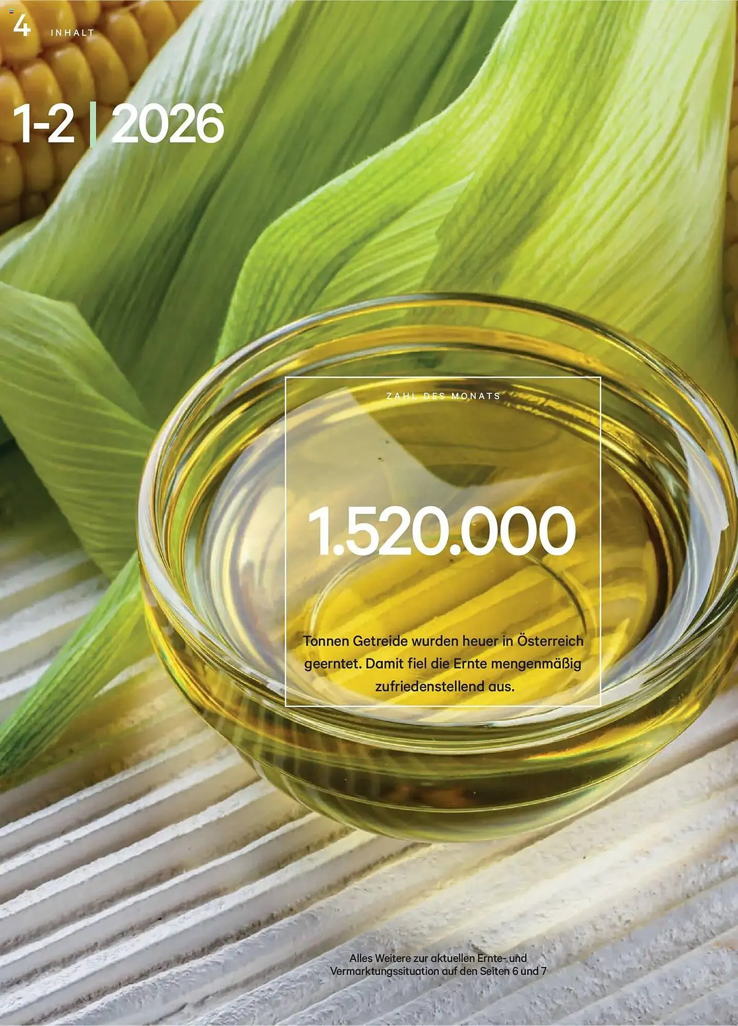 Lagerhaus Flugblatt von 1. Jänner bis 28. Februar 2026 - Flugblätt seite  4