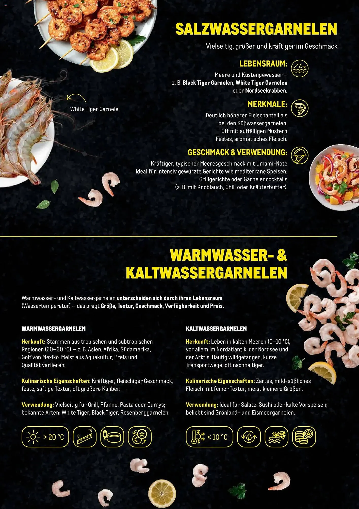 Metro Flugblatt von 27. November bis 31. Dezember 2025 - Flugblätt seite  5