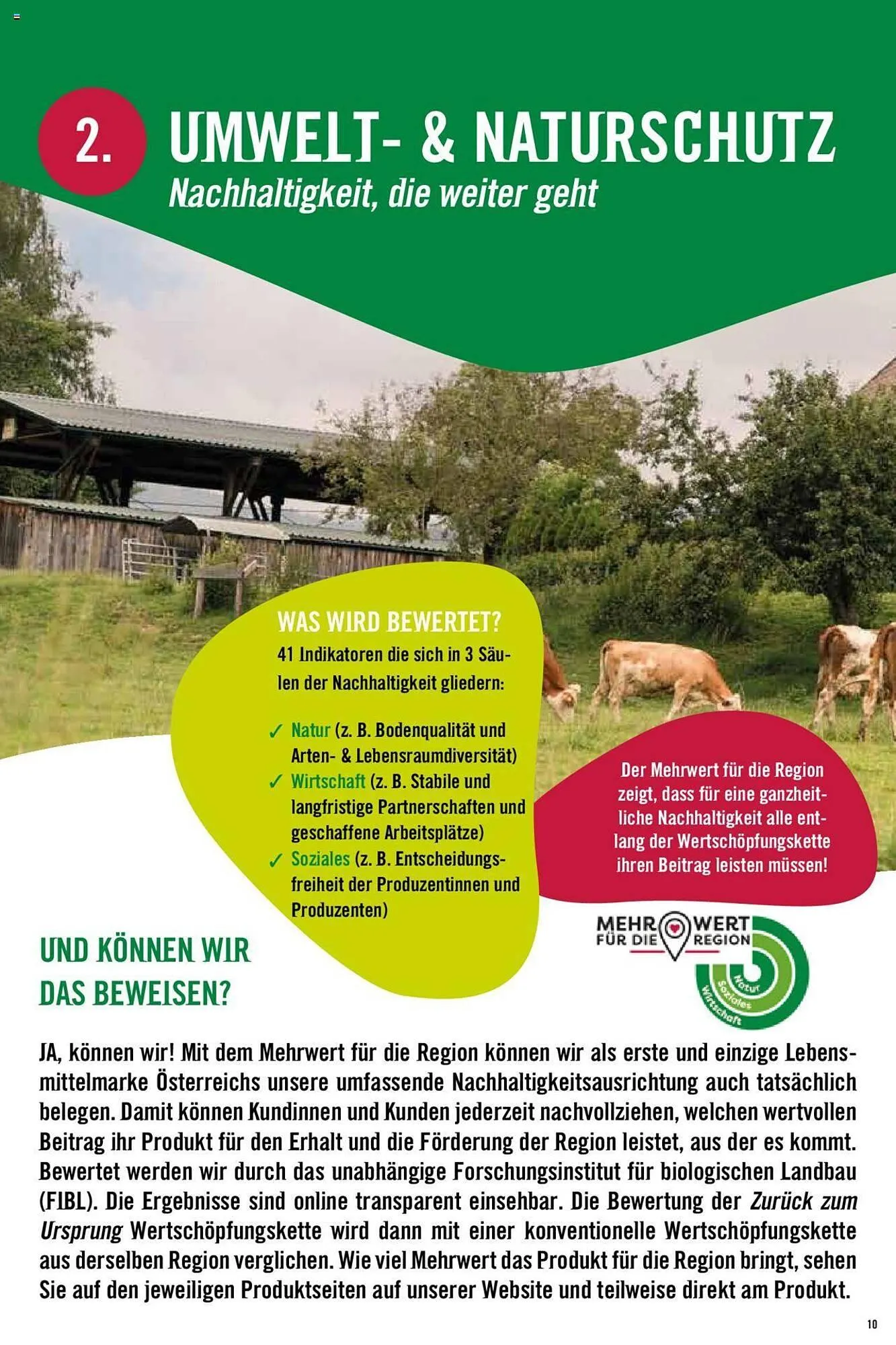 Hofer Flugblatt von 8. Oktober bis 4. März 2026 - Flugblätt seite 10