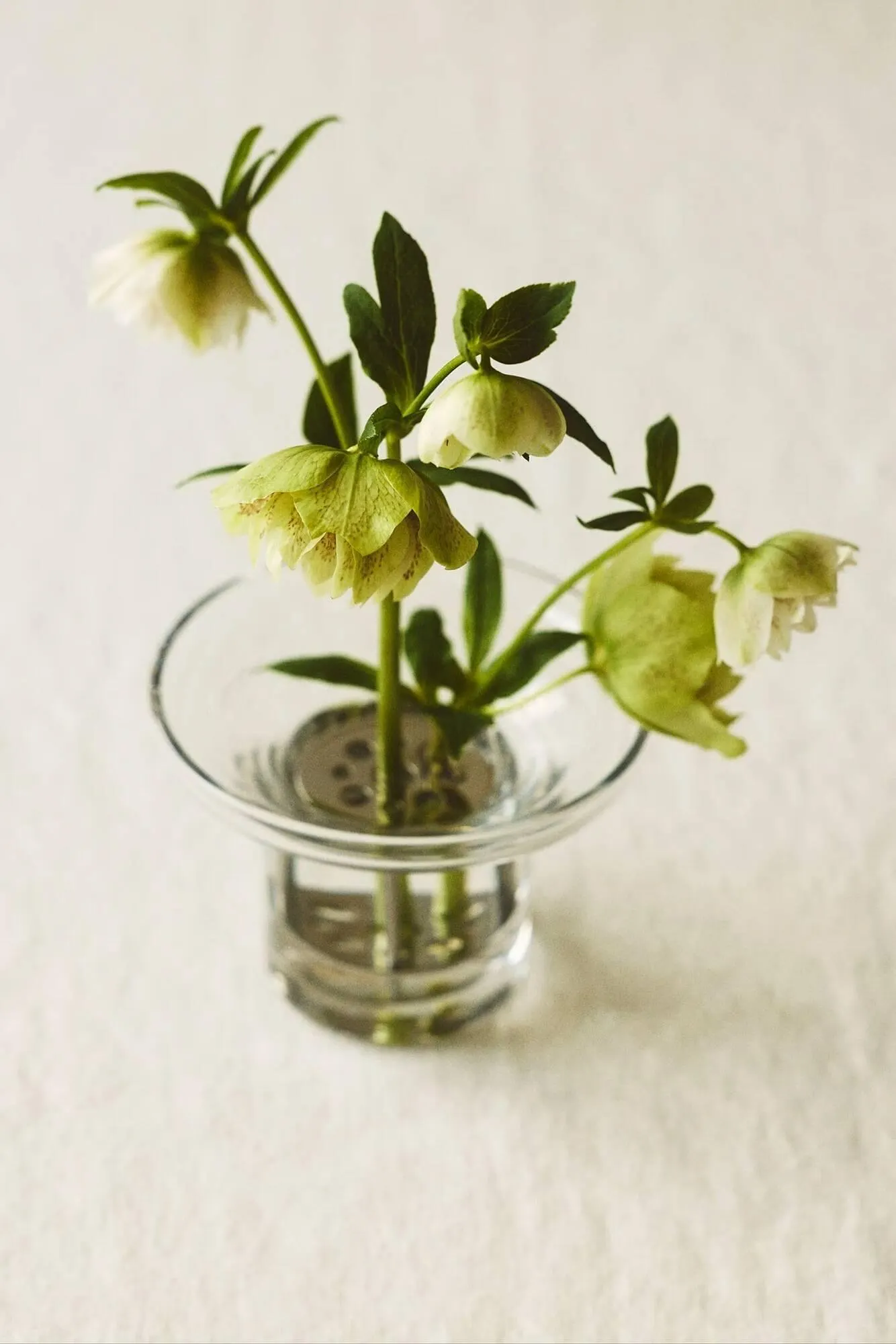 H&M Home Flugblatt von 24. März bis 13. April 2026 - Flugblätt seite 8