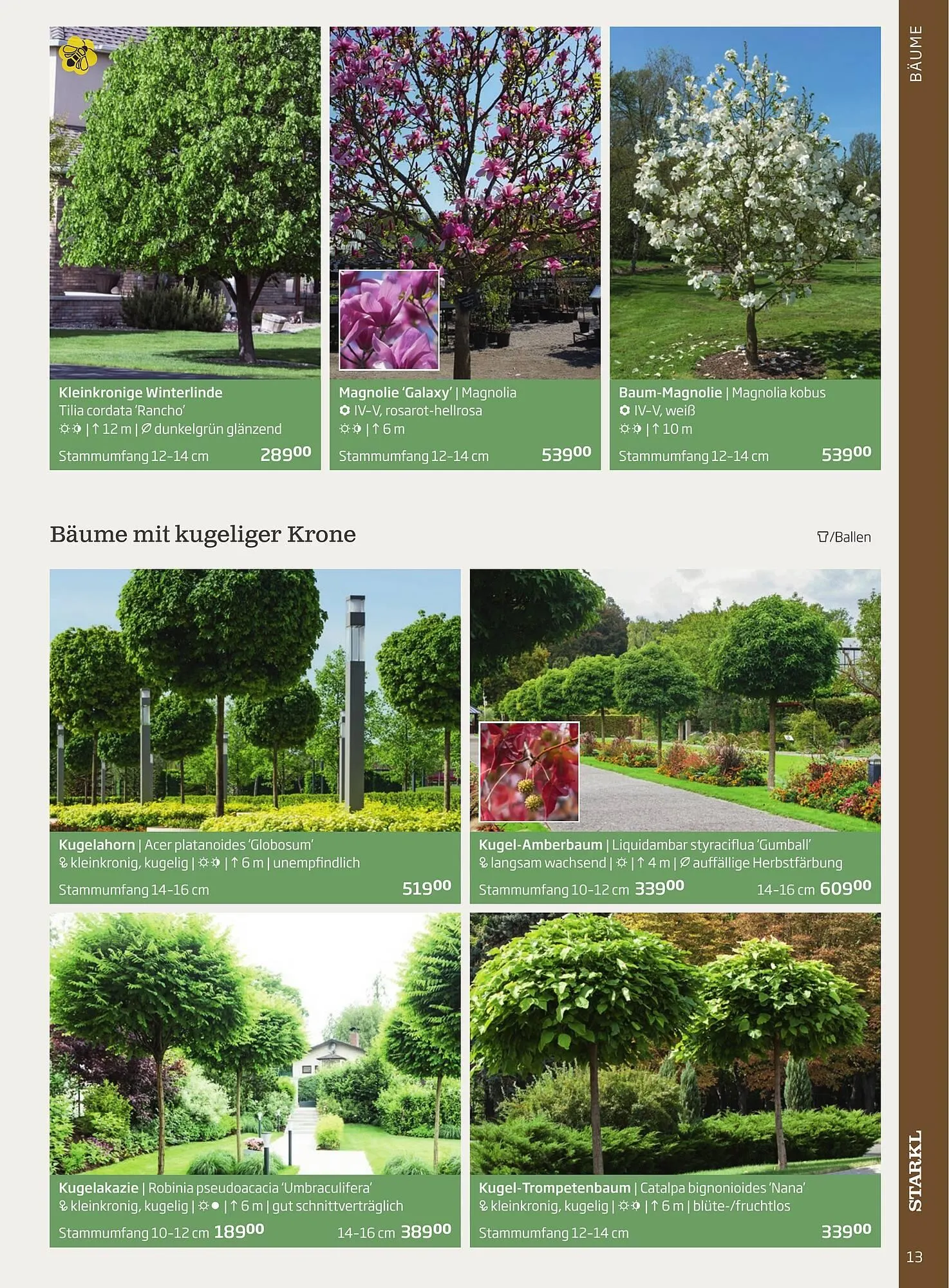 Starkl Flugblatt von 6. Juni bis 31. Dezember 2025 - Flugblätt seite  13