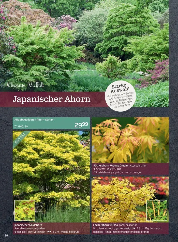 Gartencenter Jahreskatalog 2024 von 20. Mai bis 31. Dezember 2024 - Flugblätt seite 18