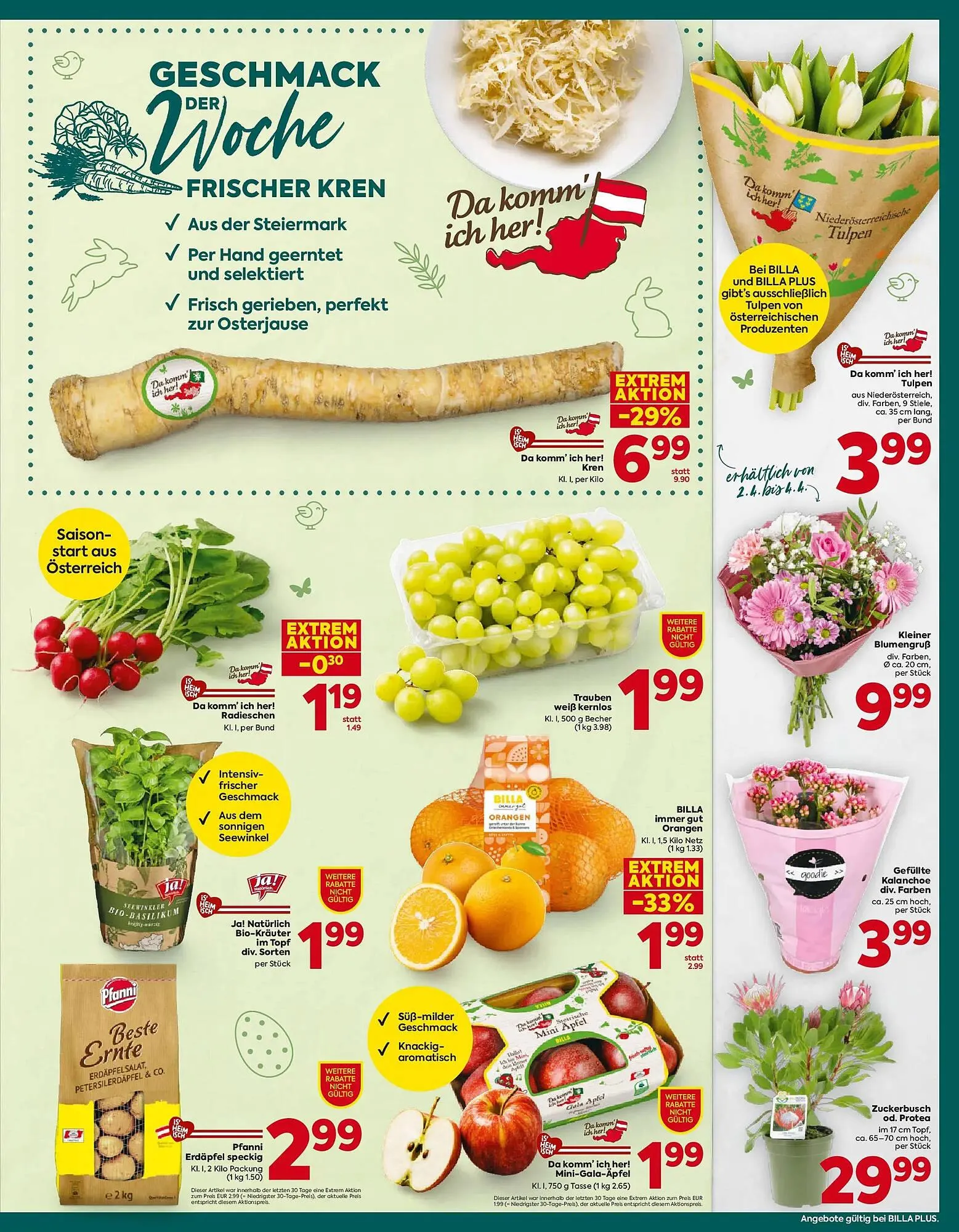 Billa Flugblatt von 26. März bis 4. April 2026 - Flugblätt seite  15