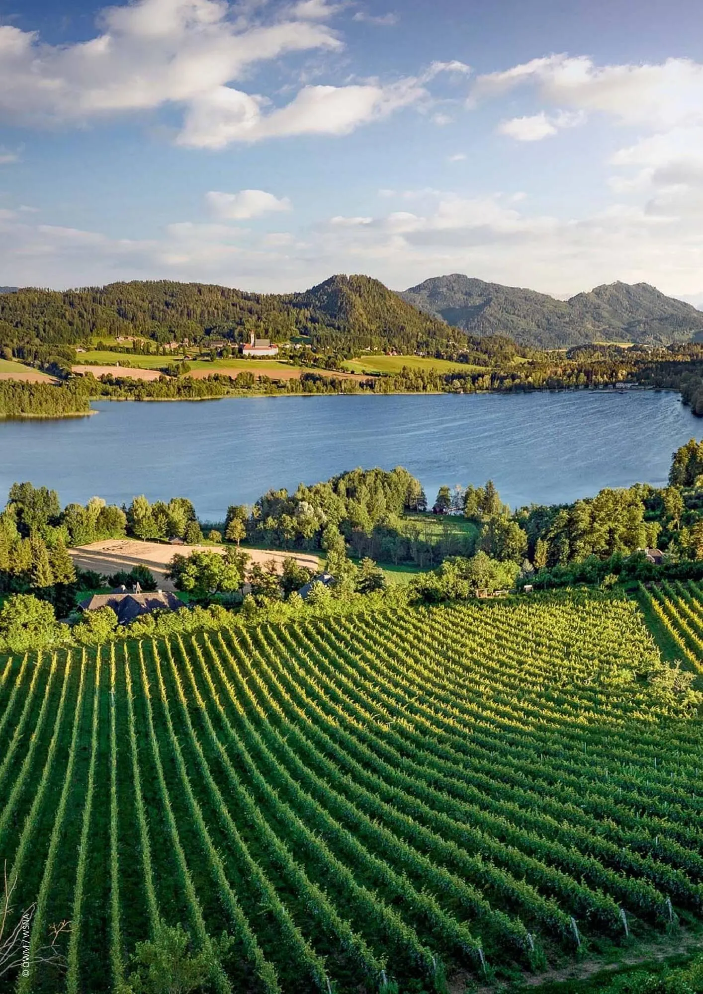 Kastner Flugblatt von 17. Juni bis 31. Dezember 2026 - Flugblätt seite 130