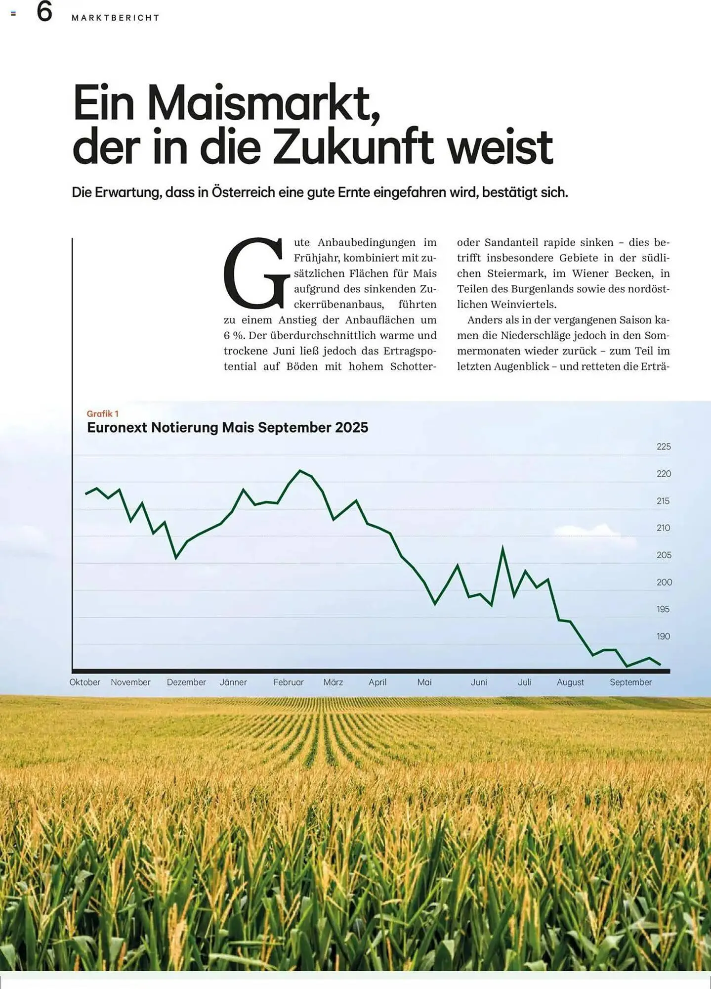 Lagerhaus Flugblatt von 1. November bis 30. November 2025 - Flugblätt seite  6