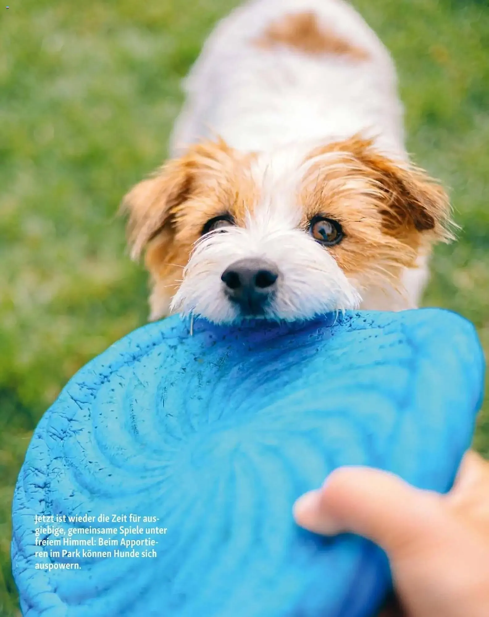 Fressnapf Flugblatt von 1. März bis 30. April 2026 - Flugblätt seite  15