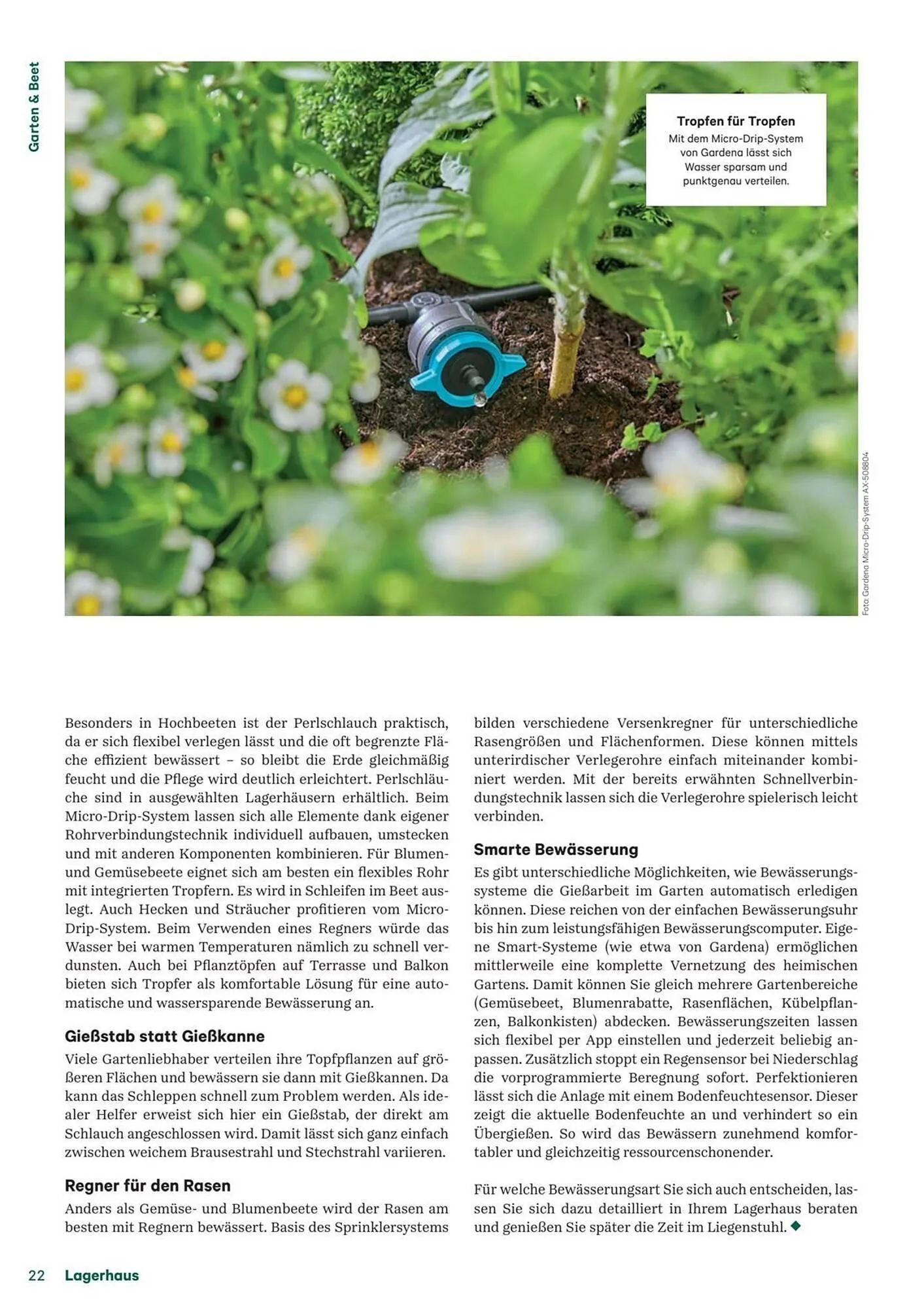 Lagerhaus Flugblatt von 1. Februar bis 28. Februar 2026 - Flugblätt seite  22