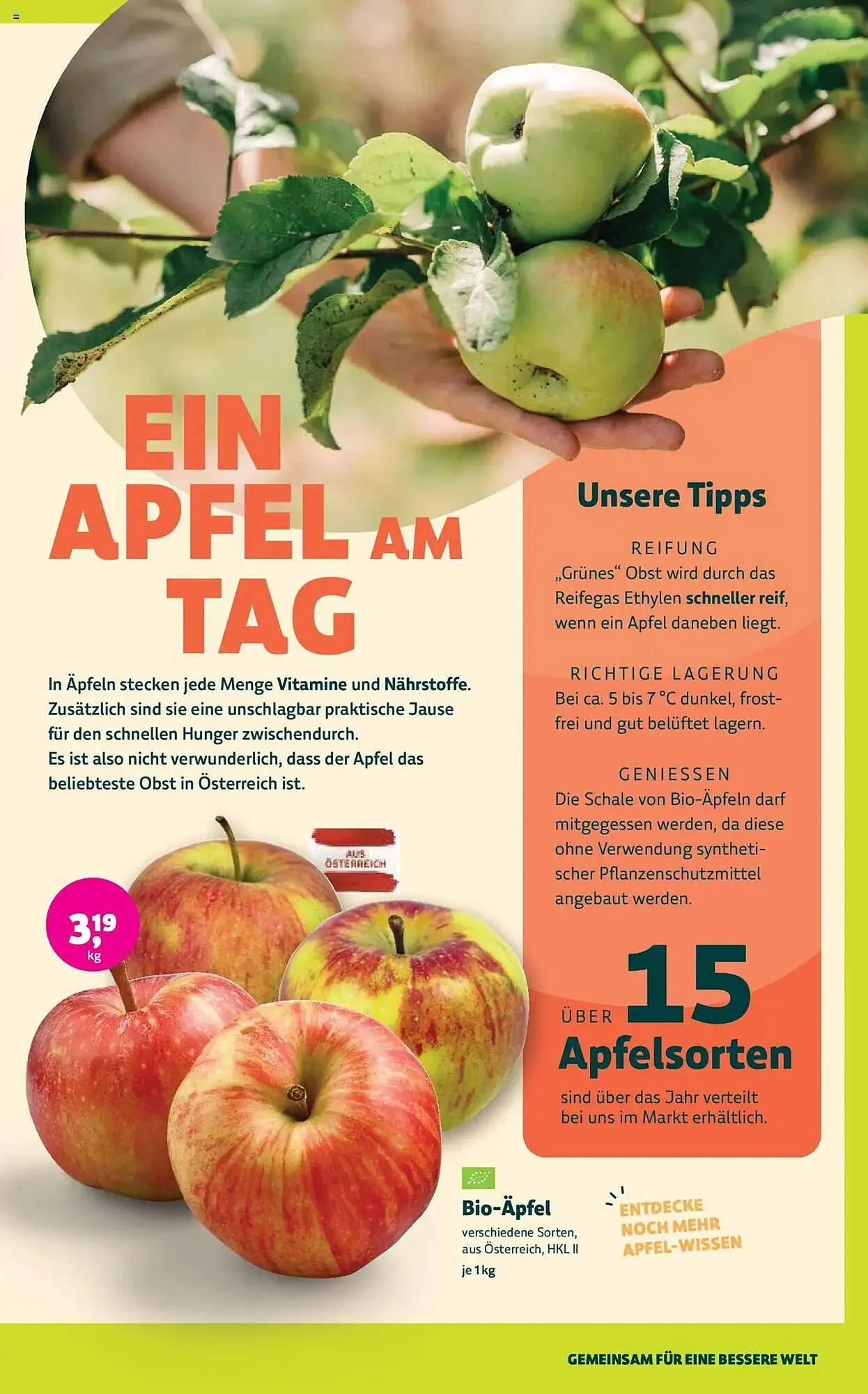 Denn's Biomarkt Flugblatt von 2. Jänner bis 14. Jänner 2025 - Flugblätt seite 7