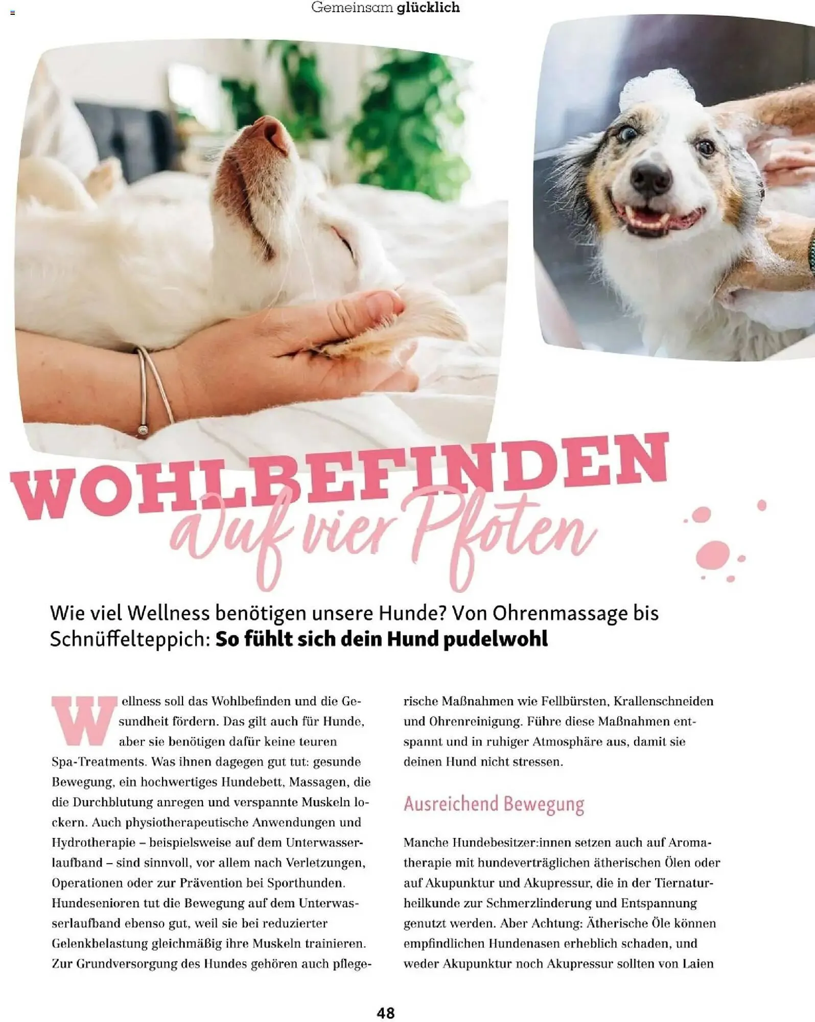 Fressnapf Flugblatt von 1. November bis 31. Dezember 2025 - Flugblätt seite  48