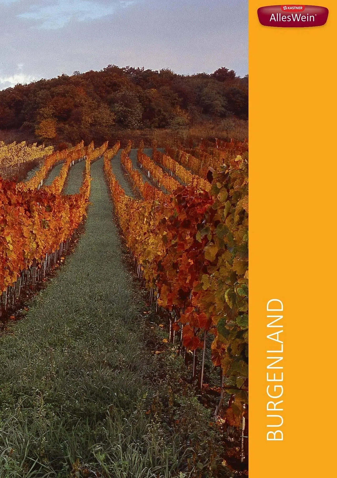 Kastner Flugblatt von 1. Juli bis 30. Dezember 2024 - Flugblätt seite  99