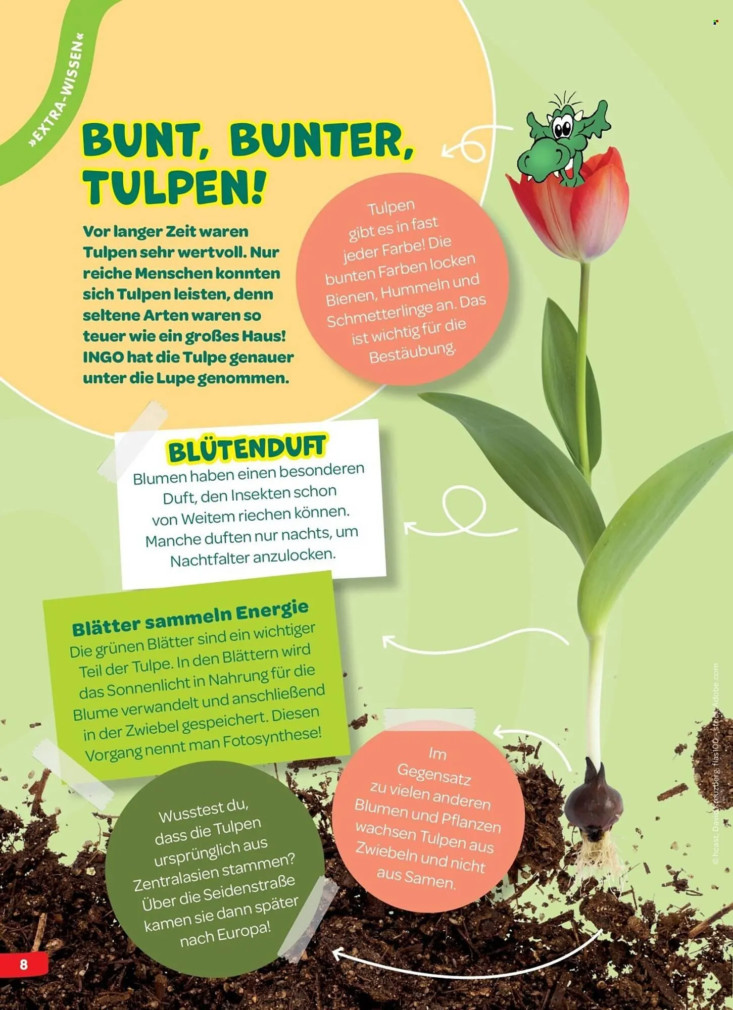 Interspar Flugblatt von 5. April bis 13. April 2026 - Flugblätt seite  8