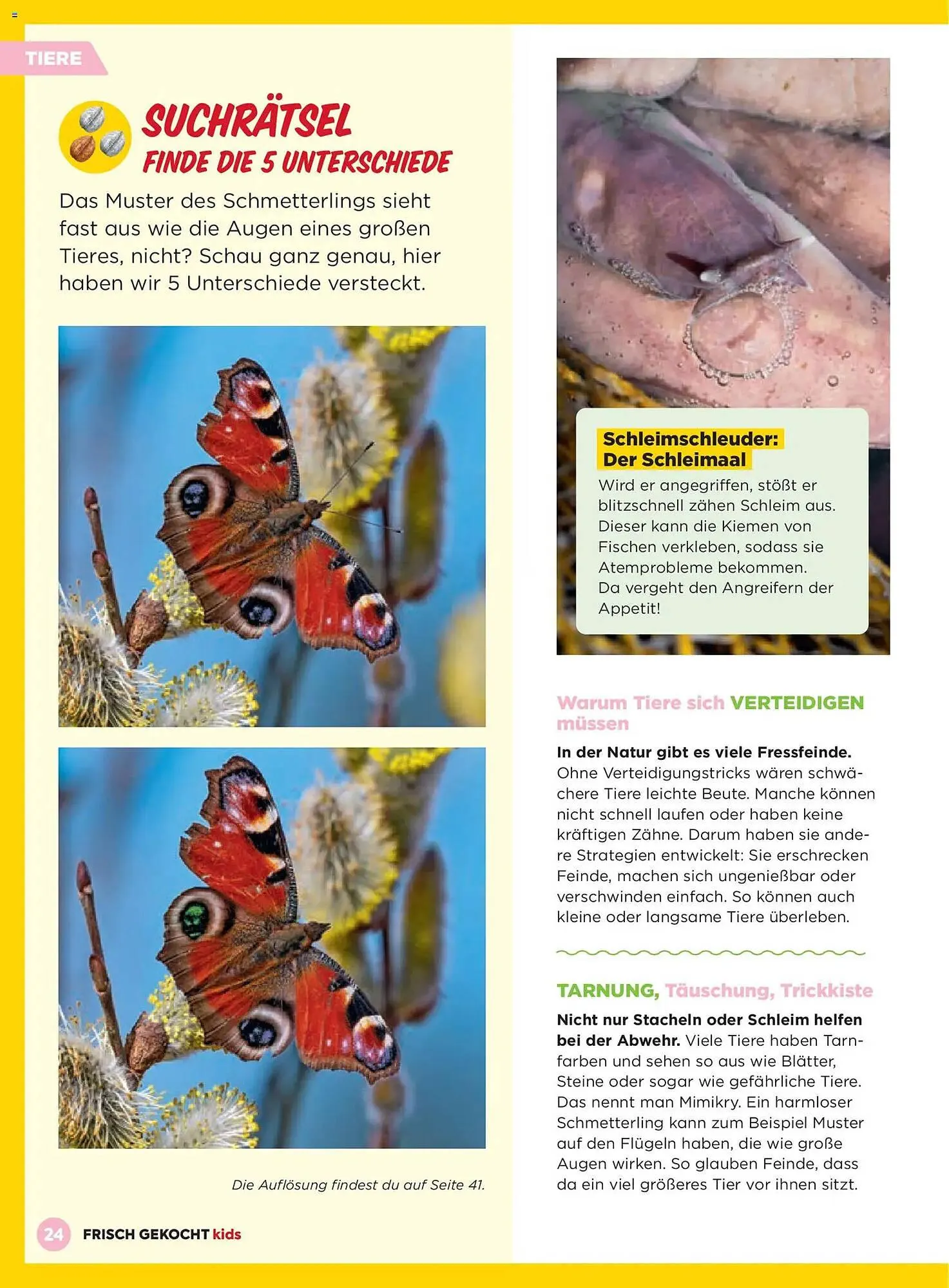 Billa Flugblatt von 1. März bis 31. Mai 2026 - Flugblätt seite  24