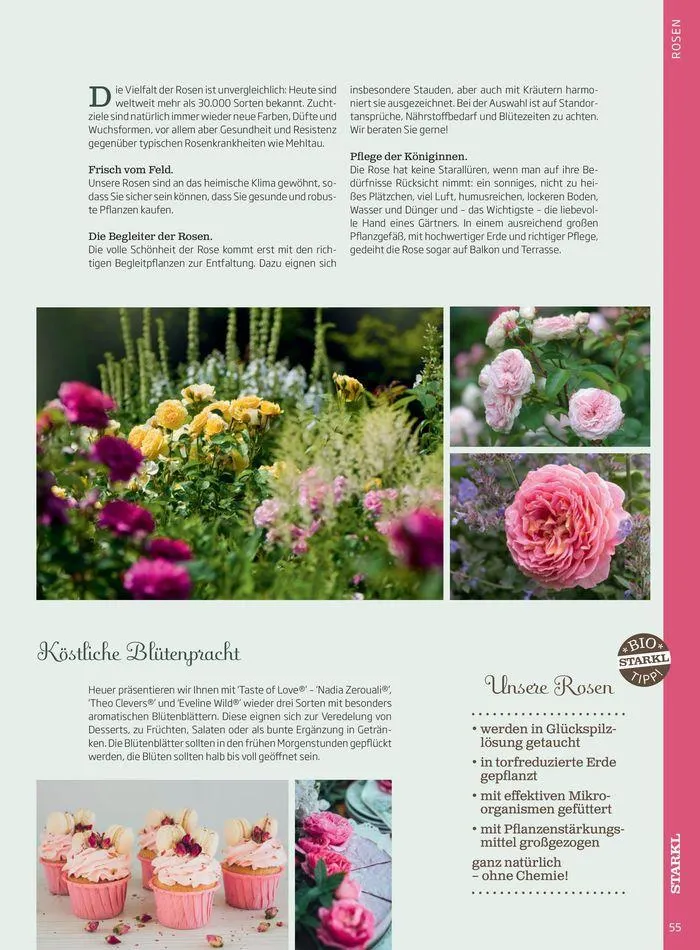 Gartencenter Jahreskatalog 2024 von 20. Mai bis 31. Dezember 2024 - Flugblätt seite  55