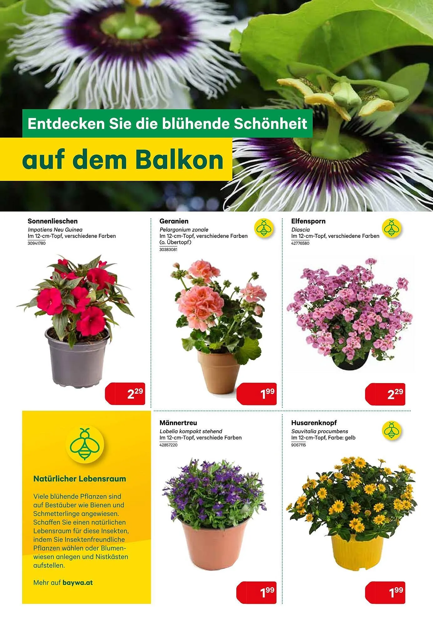 BayWa Flugblatt von 7. Mai bis 18. Mai 2024 - Flugblätt seite  2