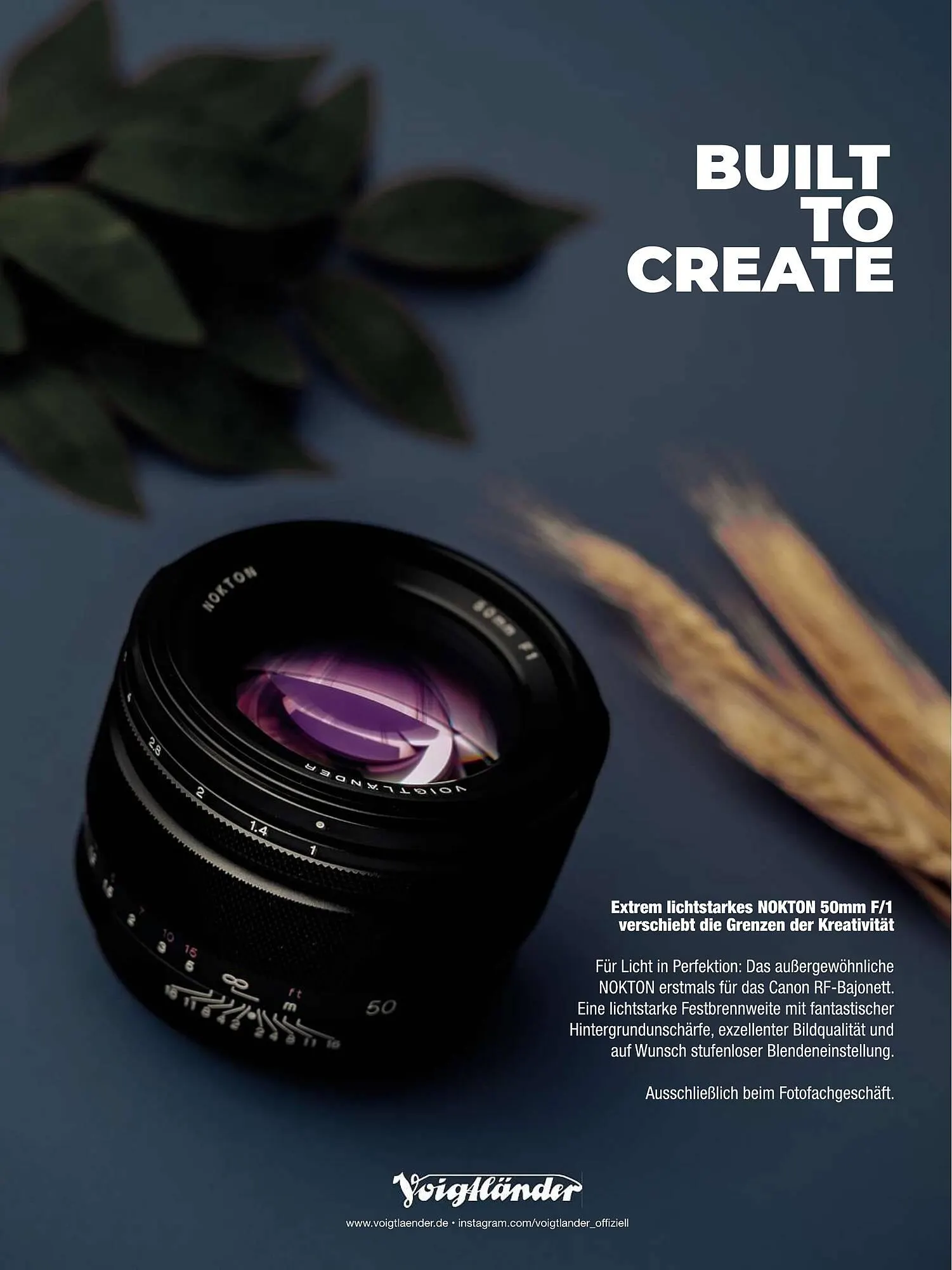 RINGFOTO Flugblatt von 1. November bis 31. Dezember 2024 - Flugblätt seite  2