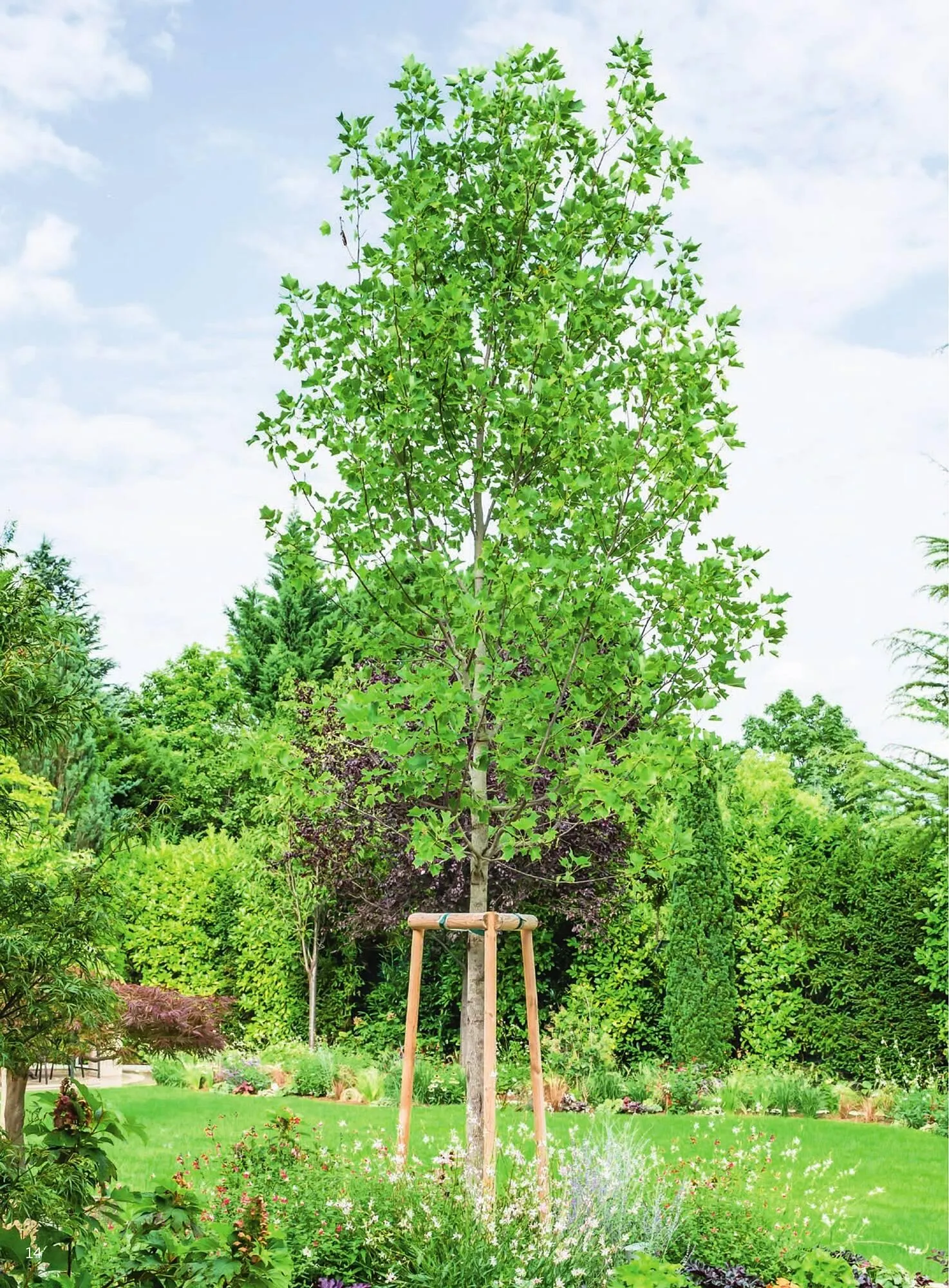 Starkl Flugblatt von 6. Juni bis 31. Dezember 2025 - Flugblätt seite  14