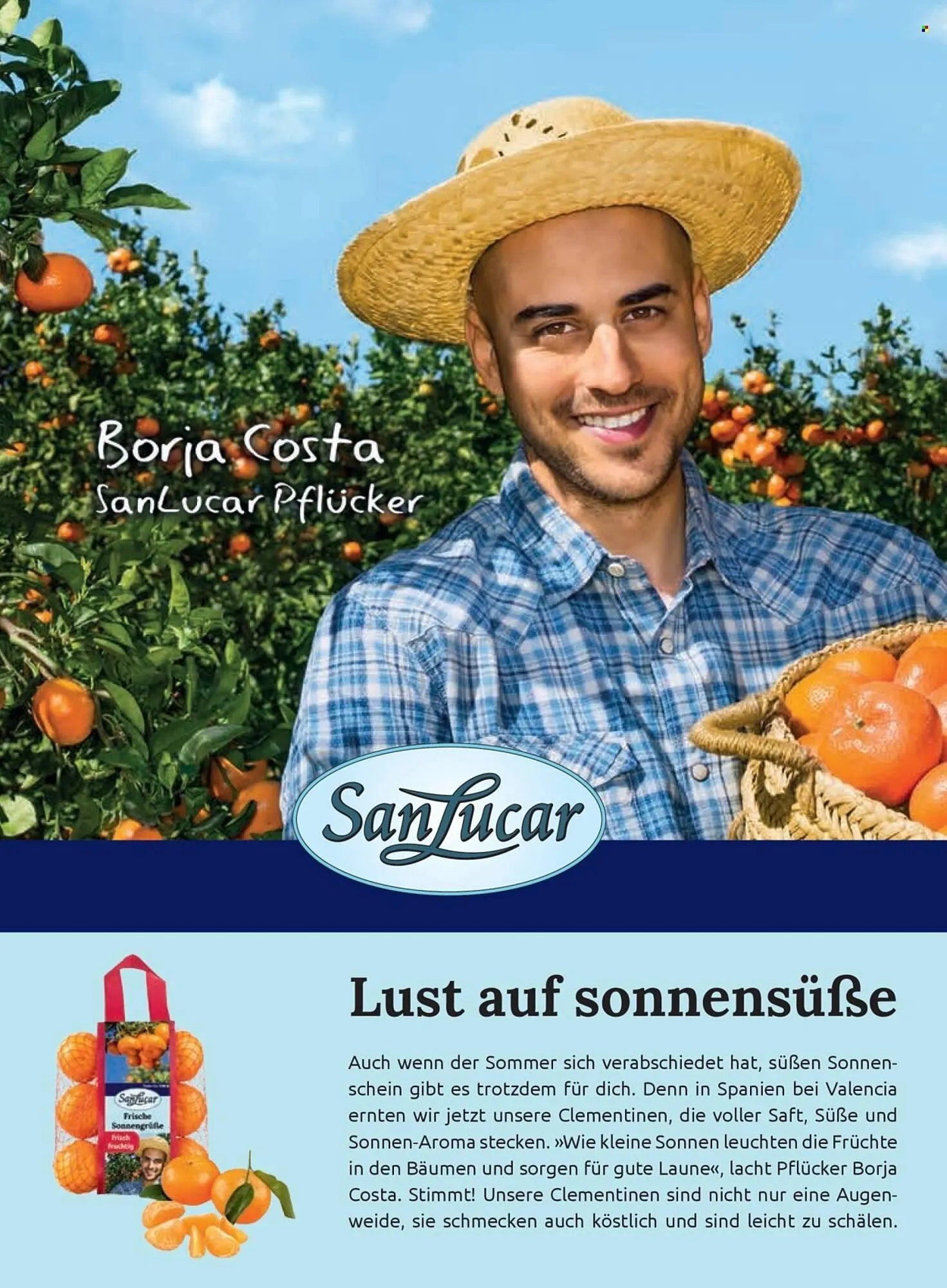 Billa Flugblatt von 1. November bis 30. November 2025 - Flugblätt seite  116