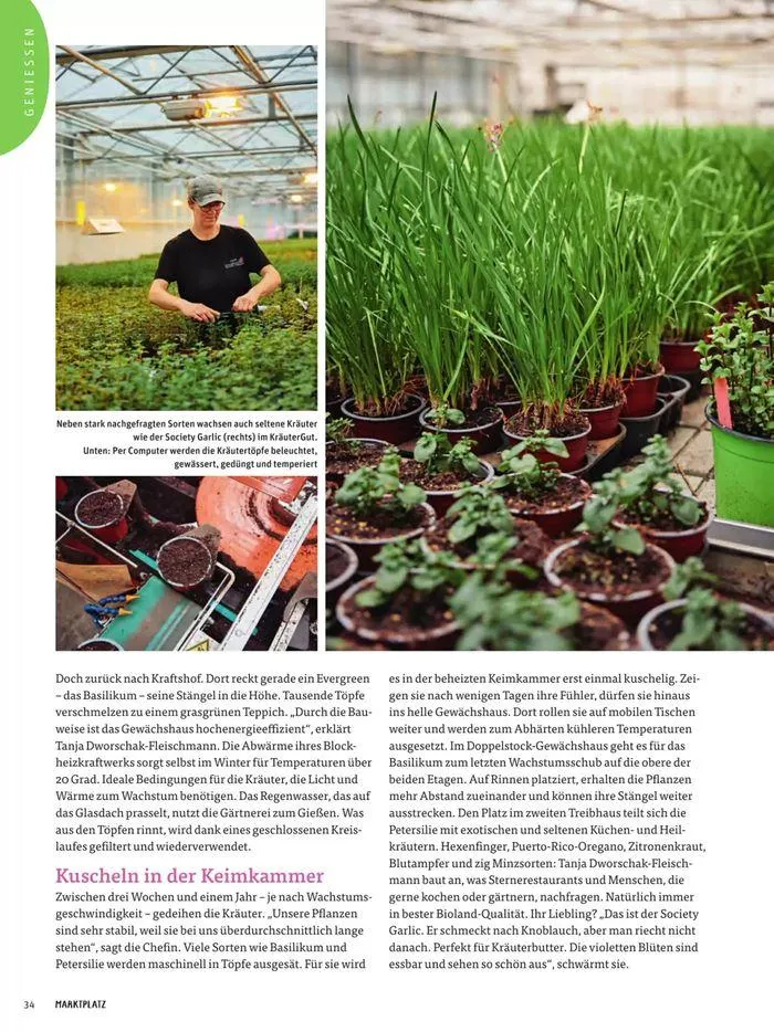 Basic Biomarkt Flugblatt von 22. Mai bis 30. Juni 2024 - Flugblätt seite 34