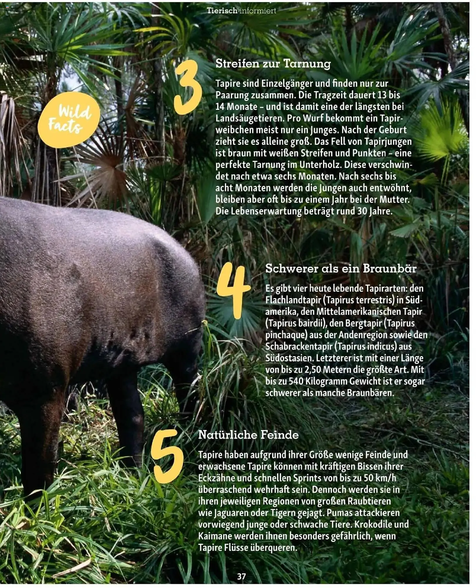 Fressnapf Flugblatt von 1. Jänner bis 28. Februar 2026 - Flugblätt seite  37