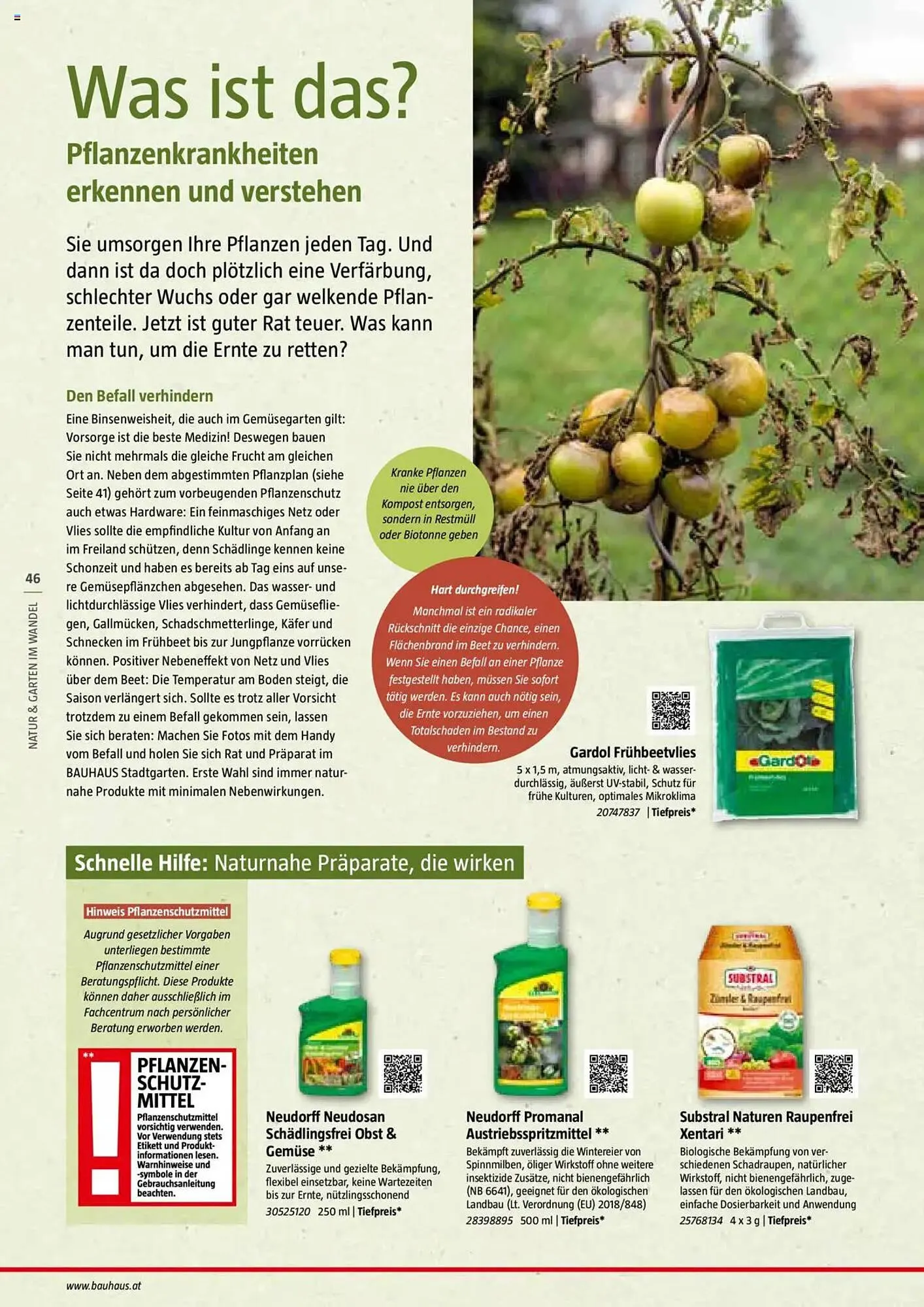 Bauhaus Flugblatt von 1. Juli bis 6. März 2026 - Flugblätt seite 46