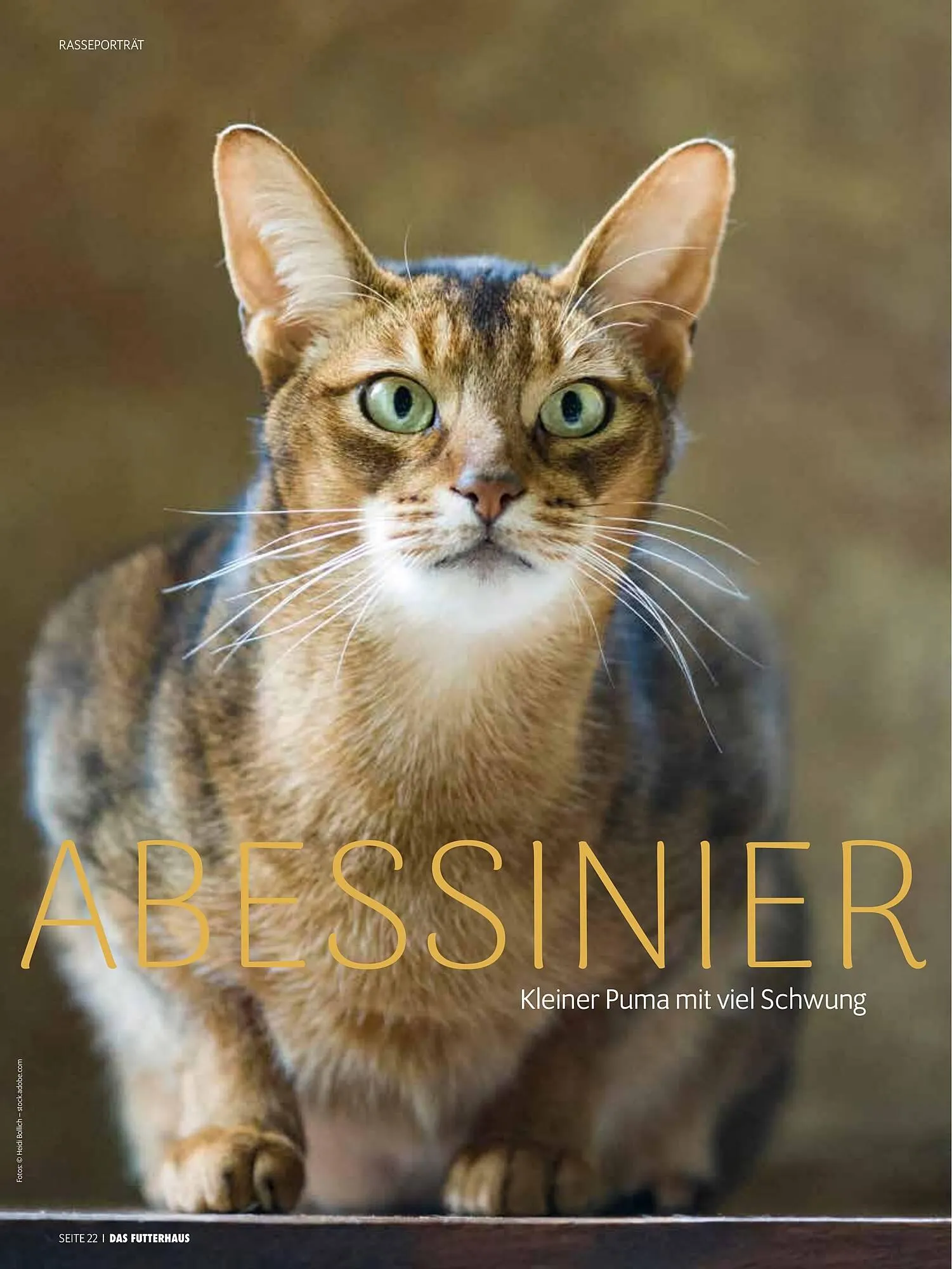 Das Futterhaus Prospekt von 16. Februar bis 8. März 2026 - Flugblätt seite  22