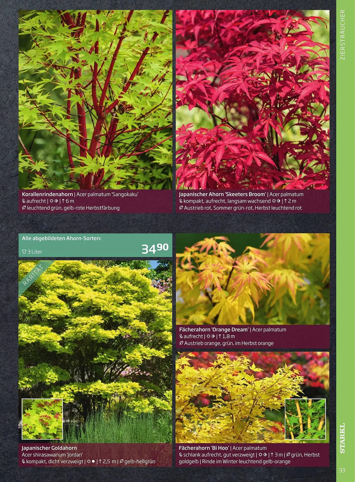 Starkl Flugblatt von 6. Juni bis 31. Dezember 2025 - Flugblätt seite  33