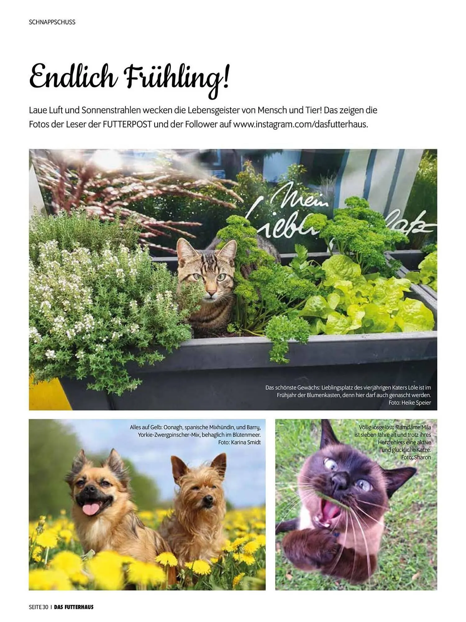 Das Futterhaus Flugblatt von 31. Mai bis 23. Juni 2024 - Flugblätt seite  30